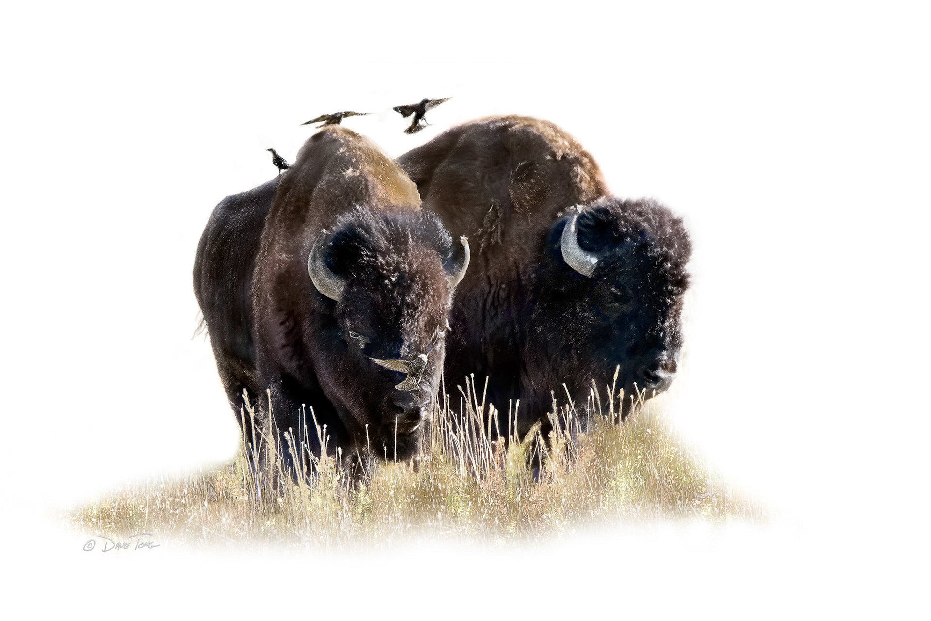 It's One of Those Days