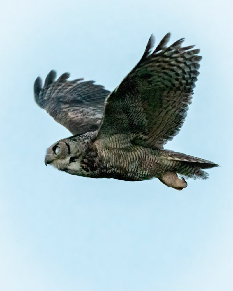 In Flight