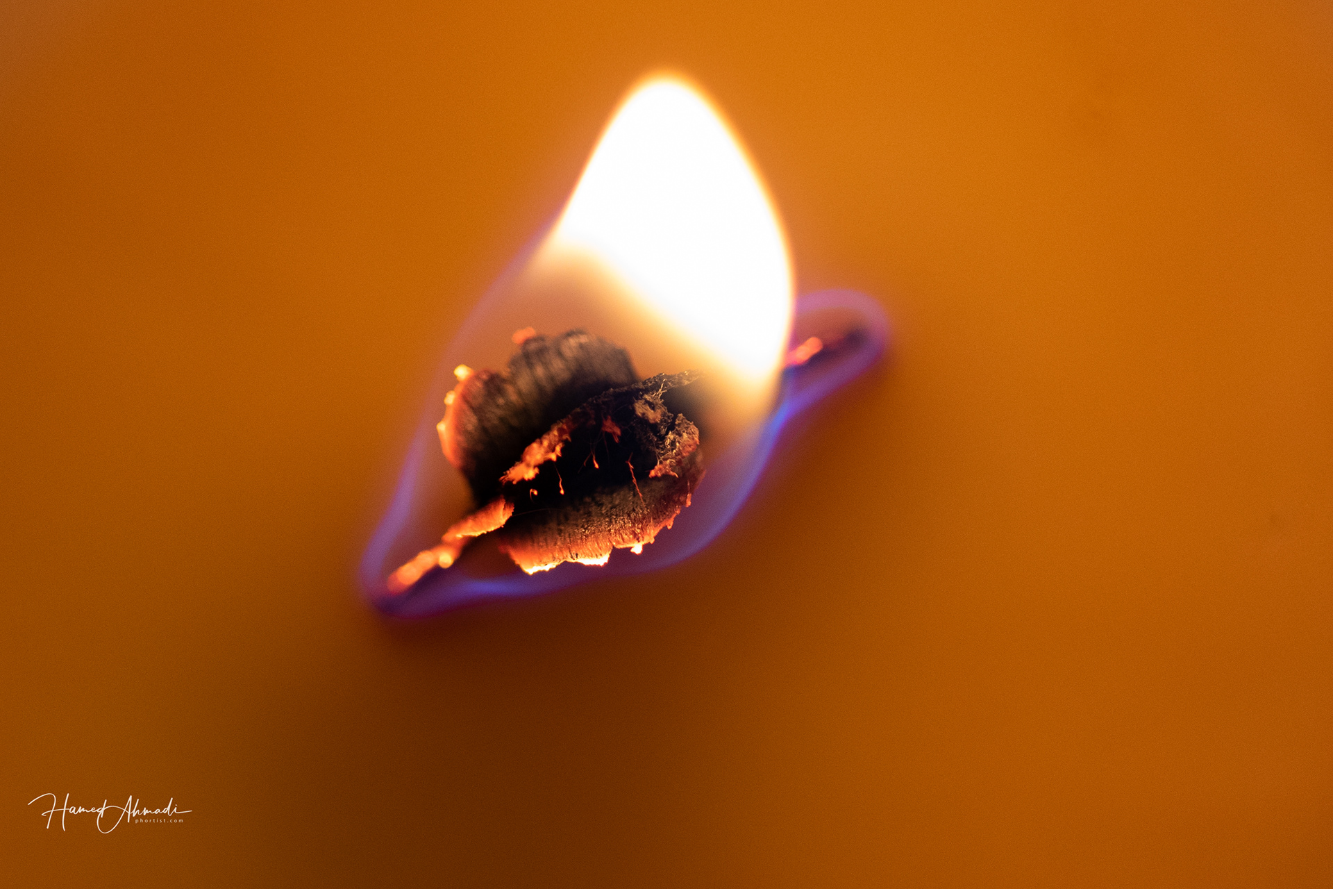 Candle Light