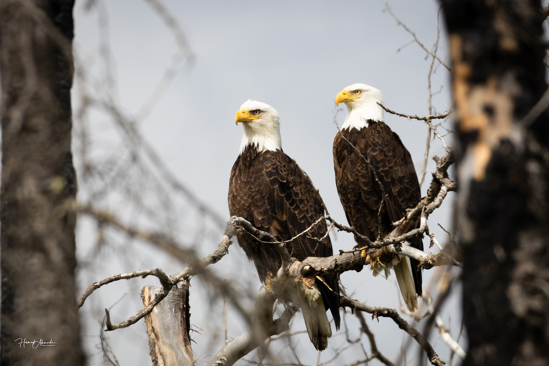 Hatcher Pass, Alaska
