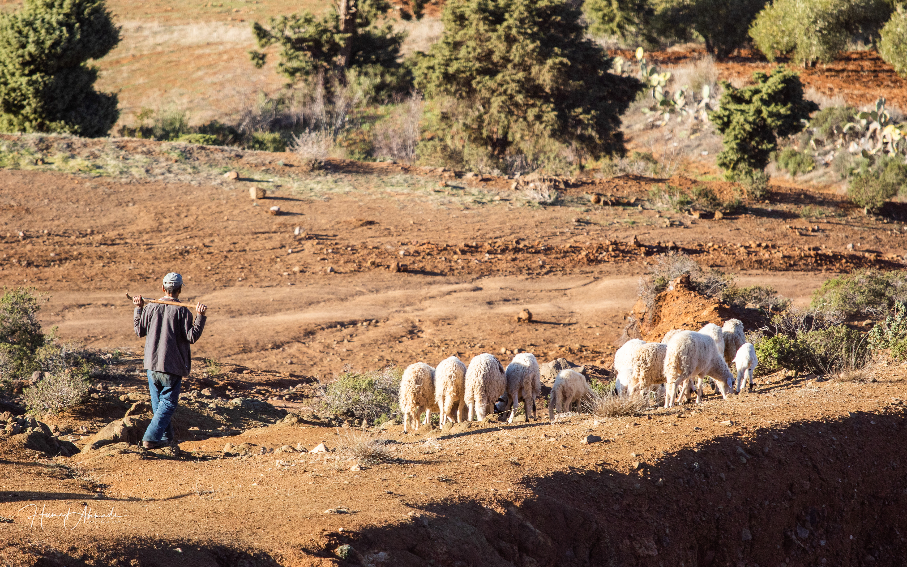 Morocco