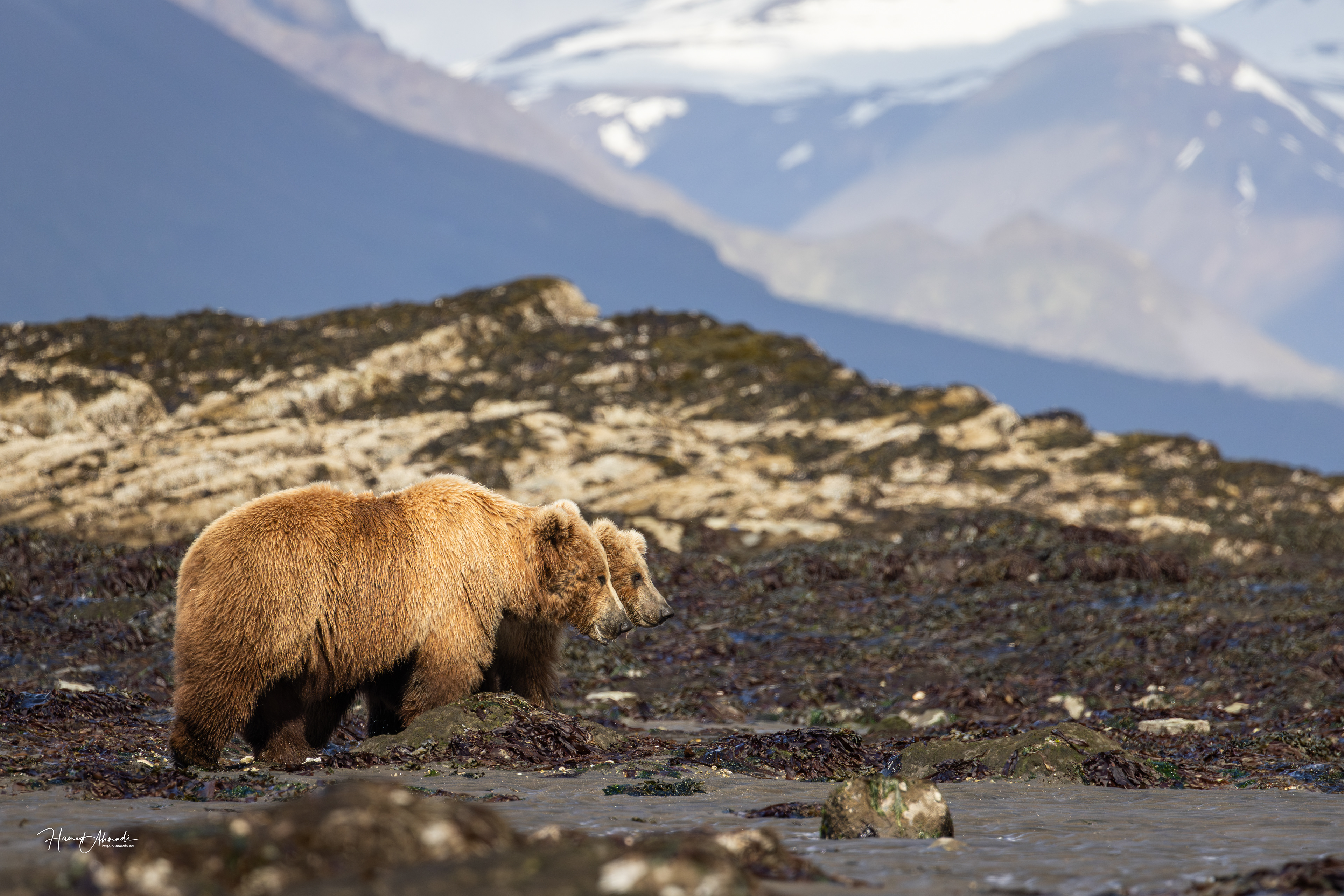Kodiak Island, Alaska