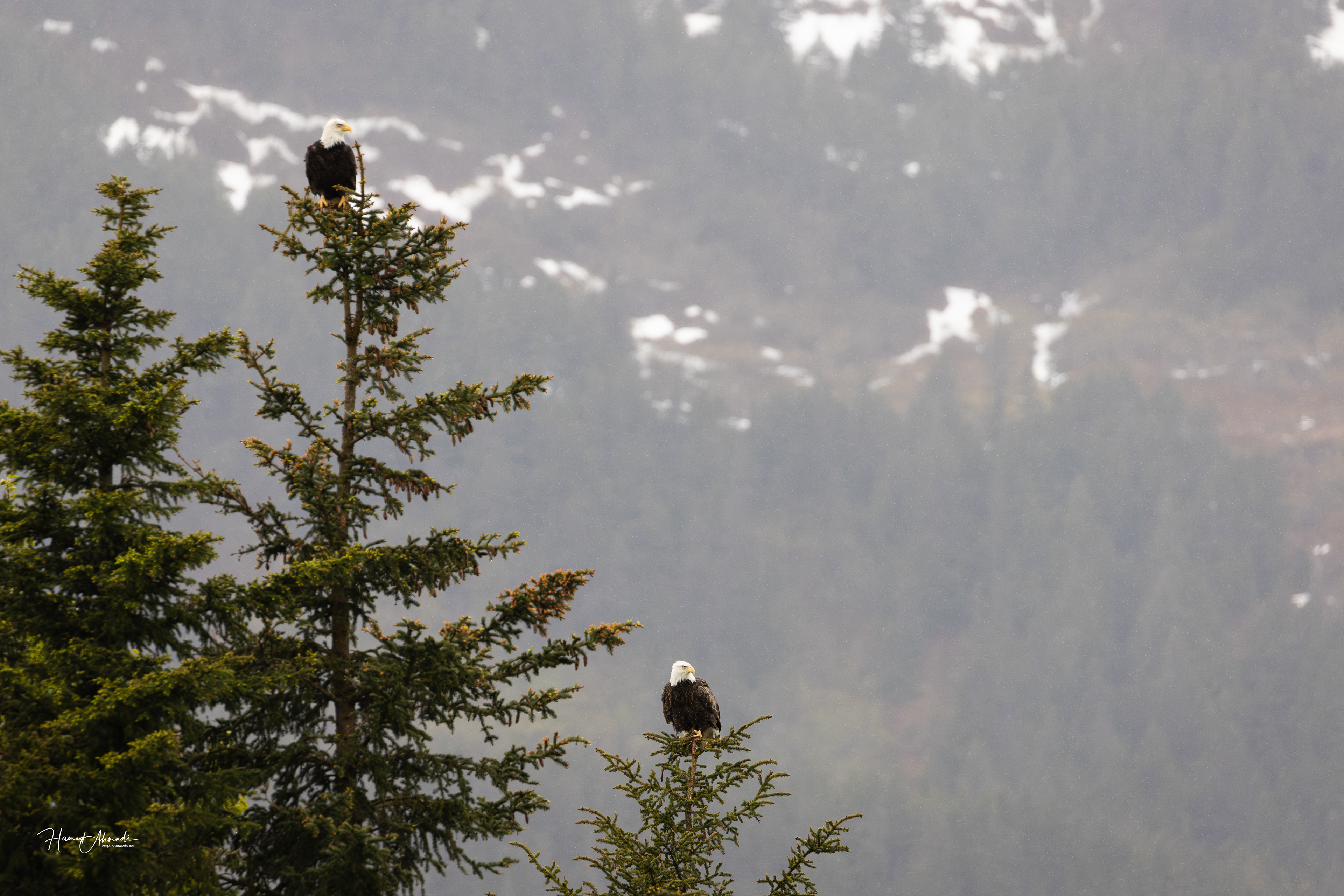 Portage Lake, Alaska