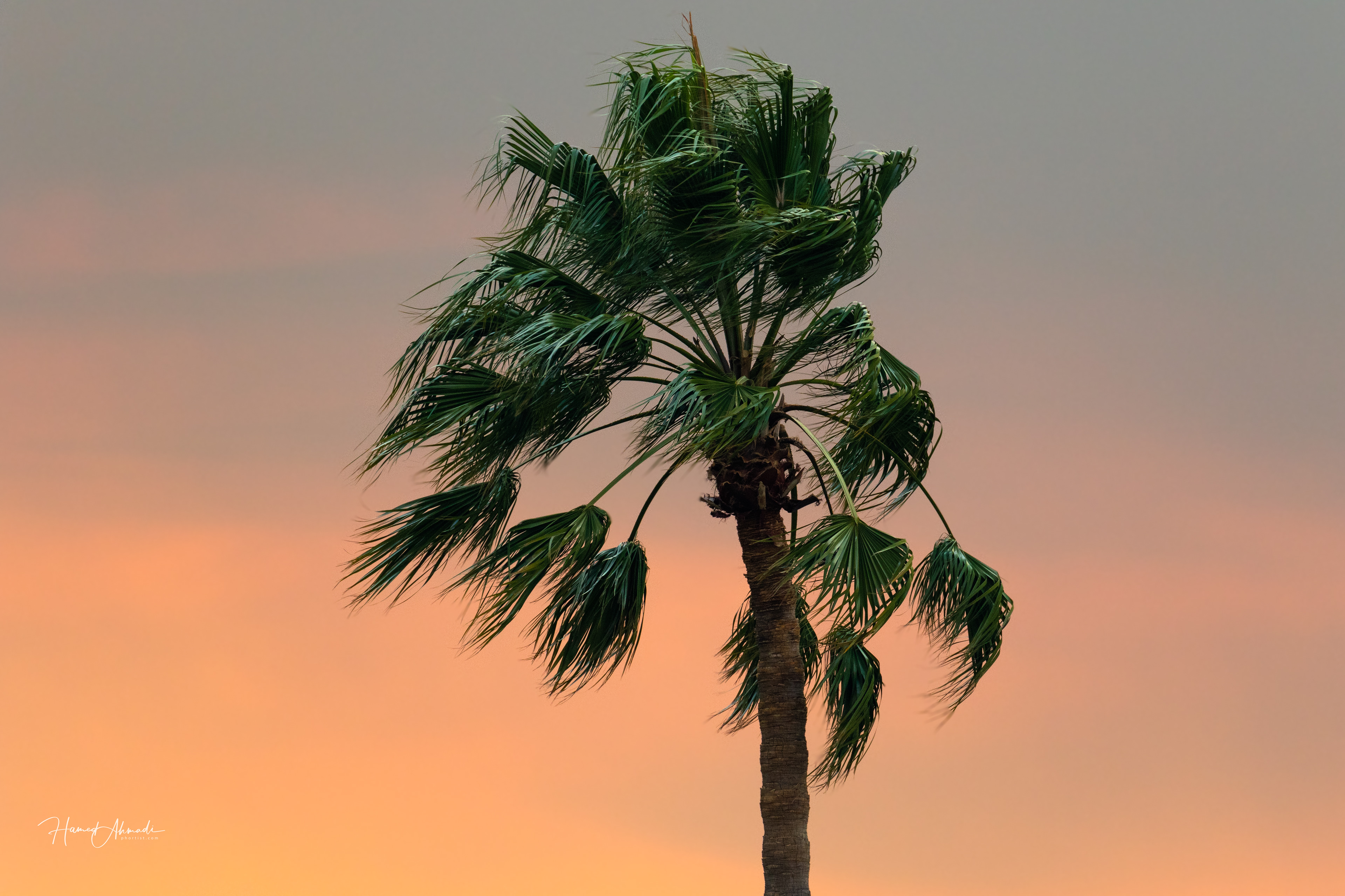 San Mateo, California