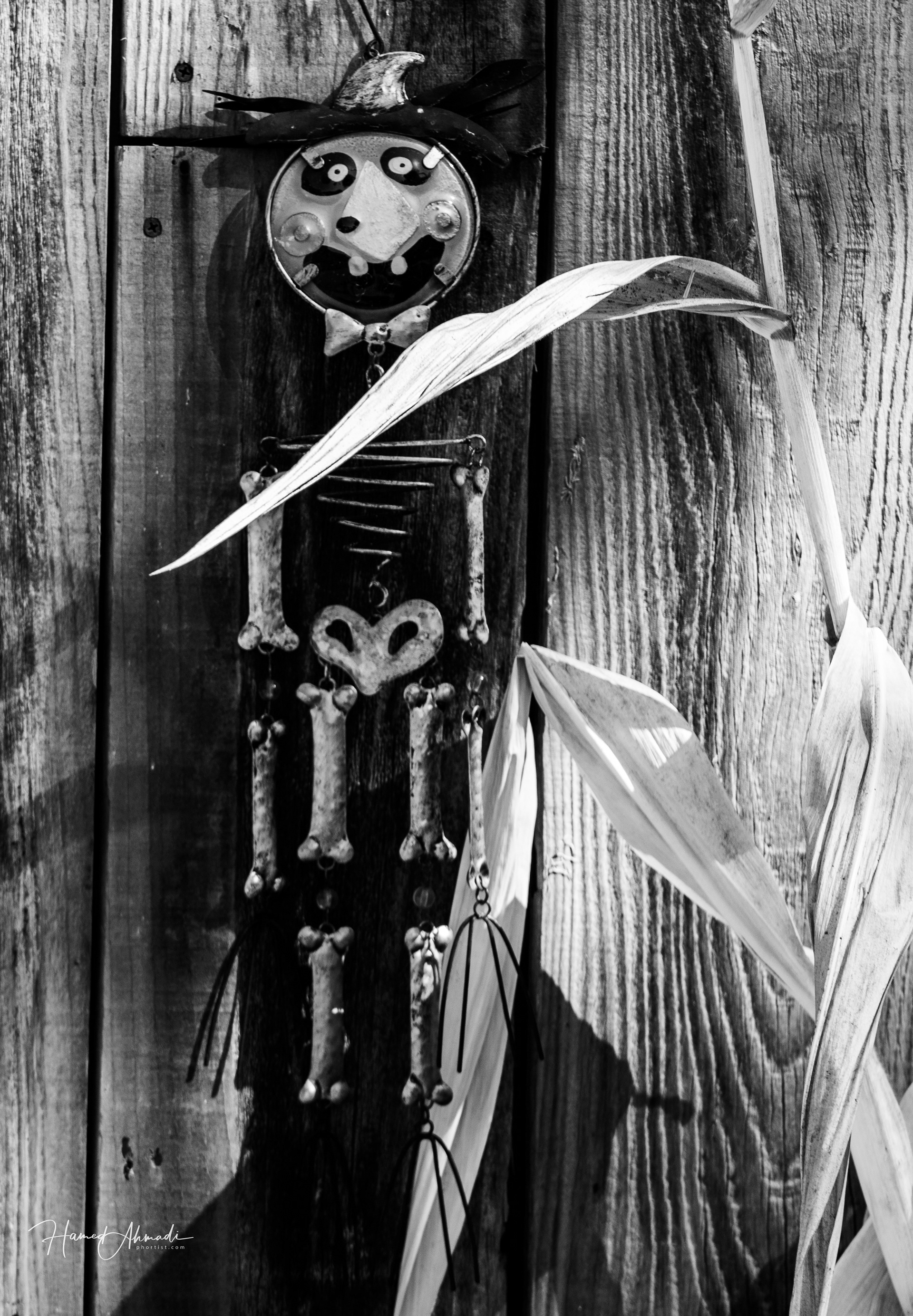 Halloween, California