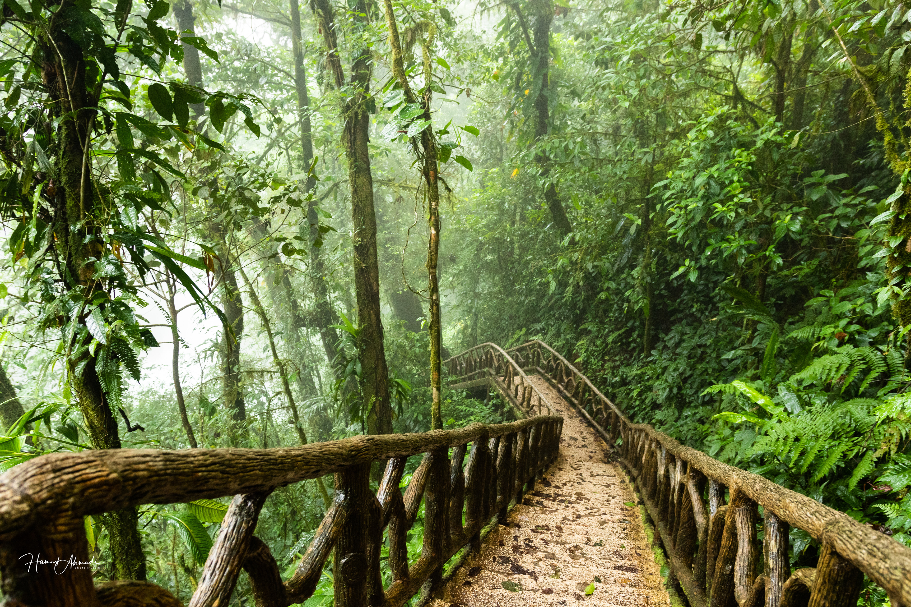 Path to Rio Celeste Waterfall, Costa Rica