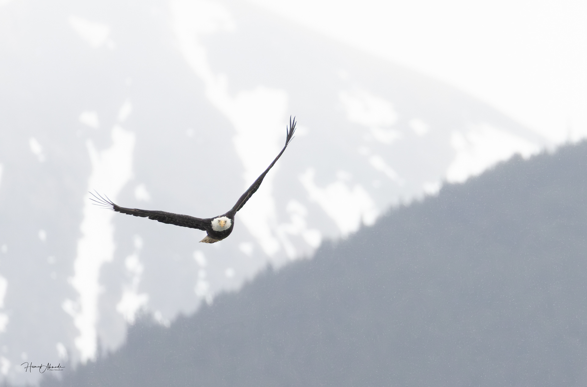 Portage Lake, Alaska