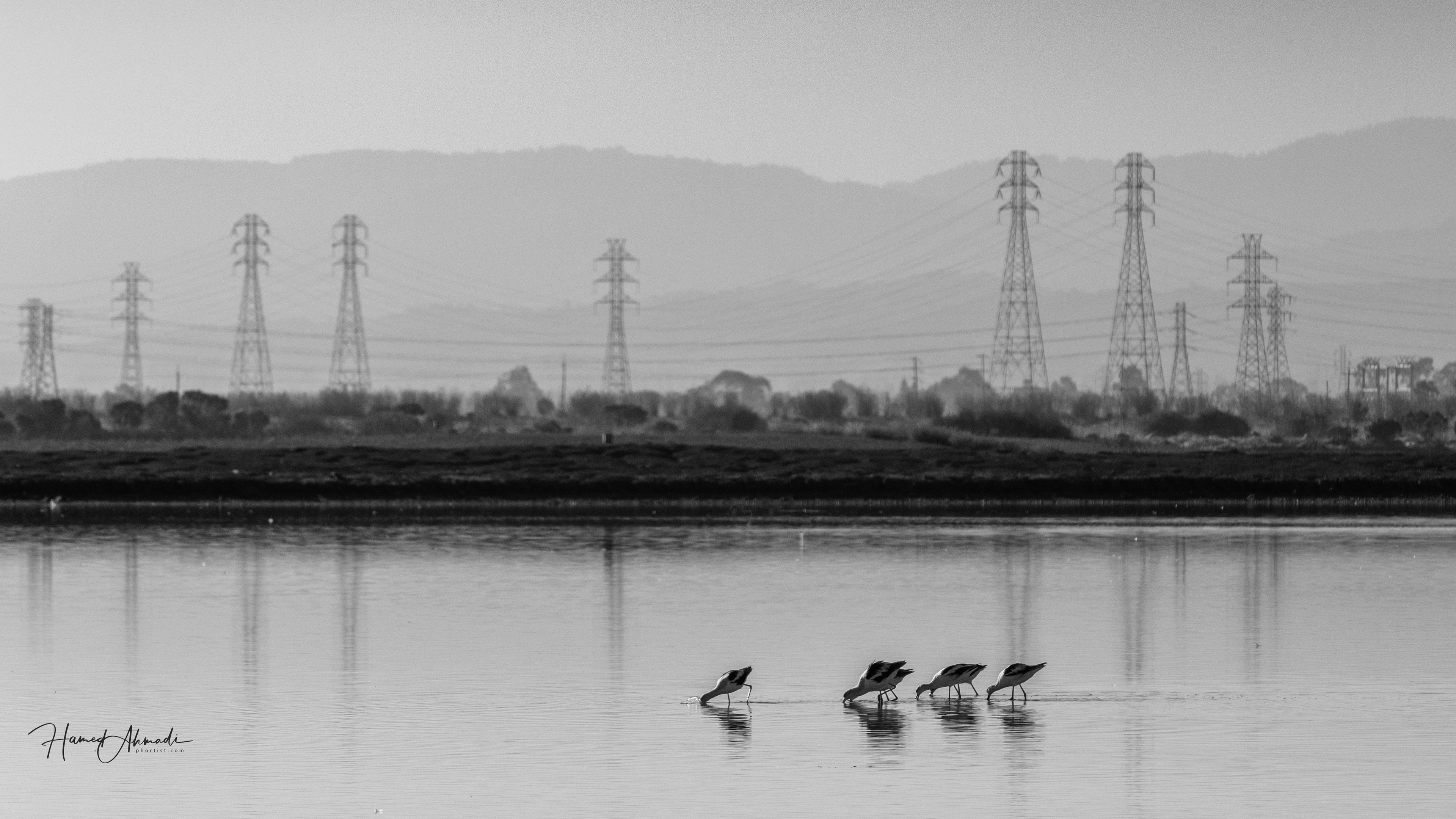 View of San Francisco Bay from San Mateo