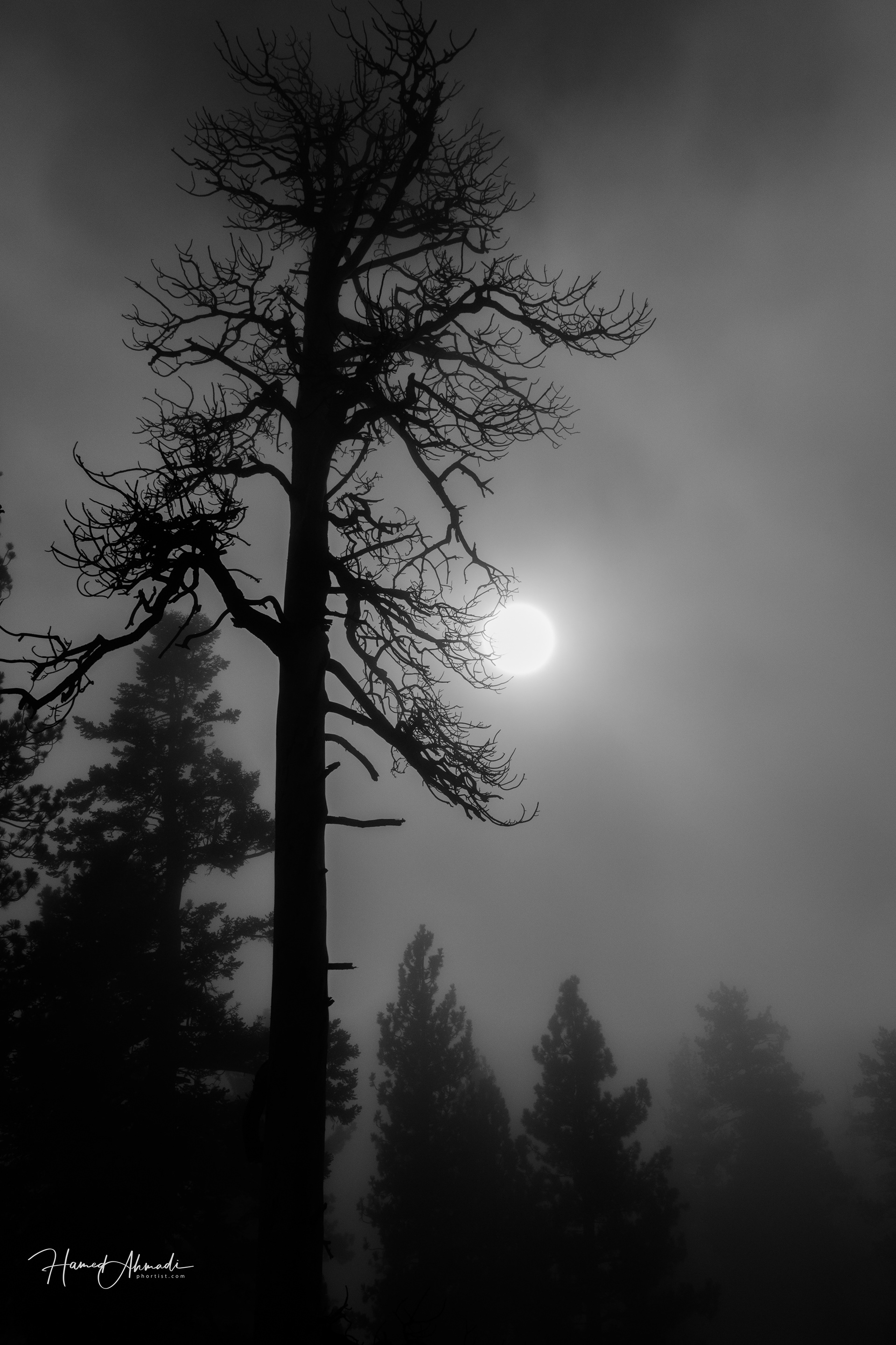 Palm Spring, California