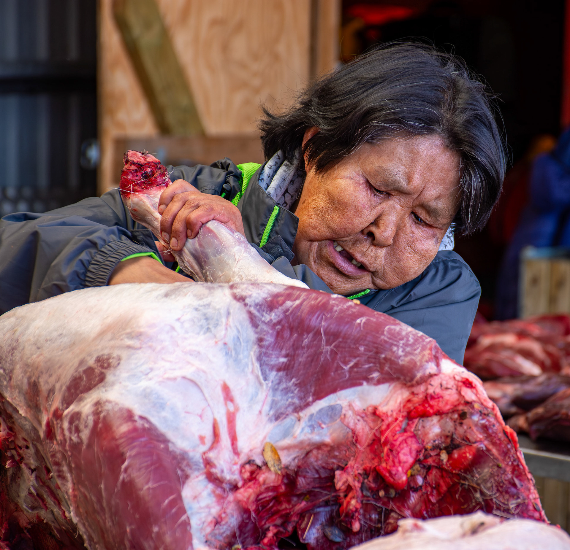 Woman butchers reindeer • Greenland