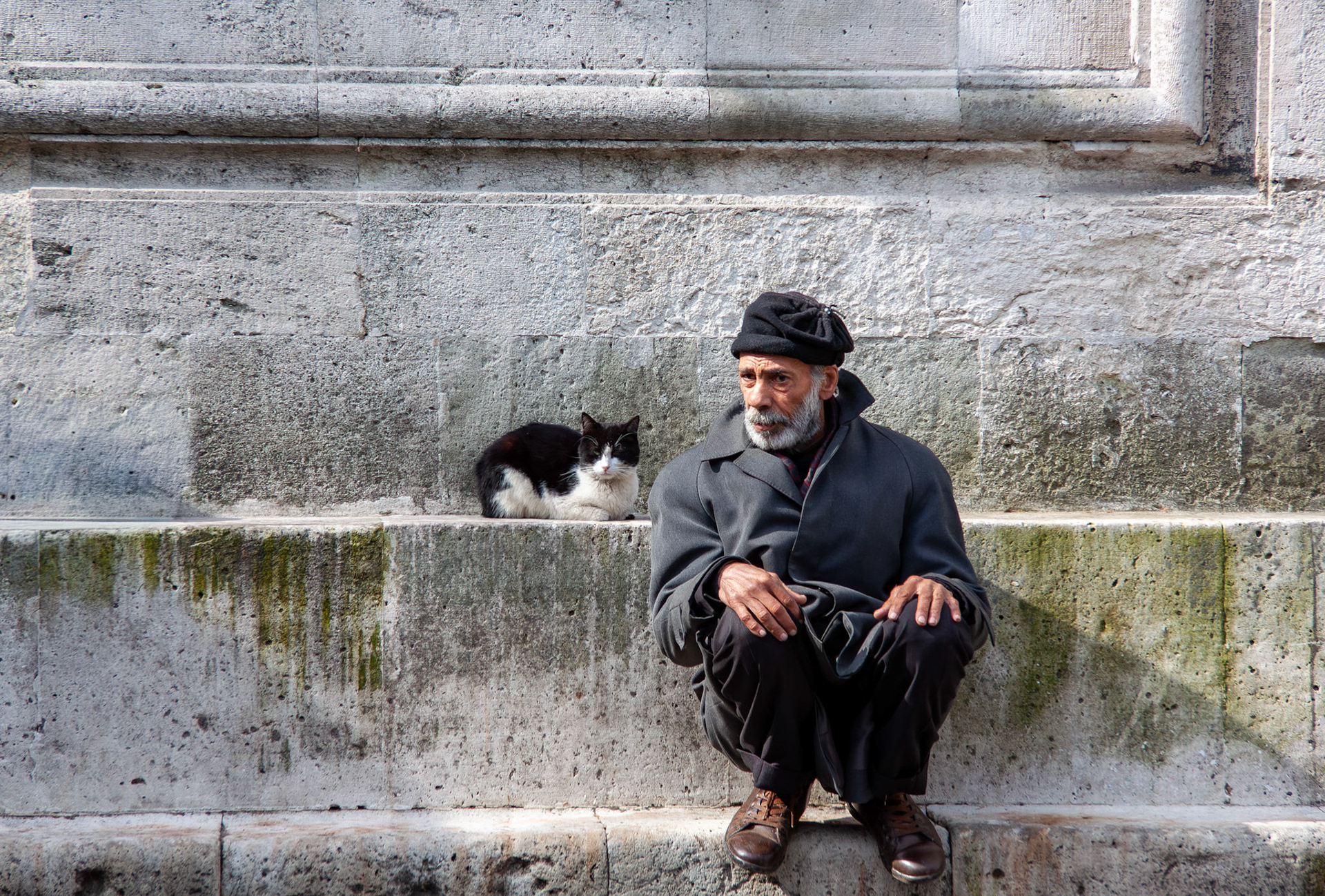 Man and cat • Istanbul, Turkey