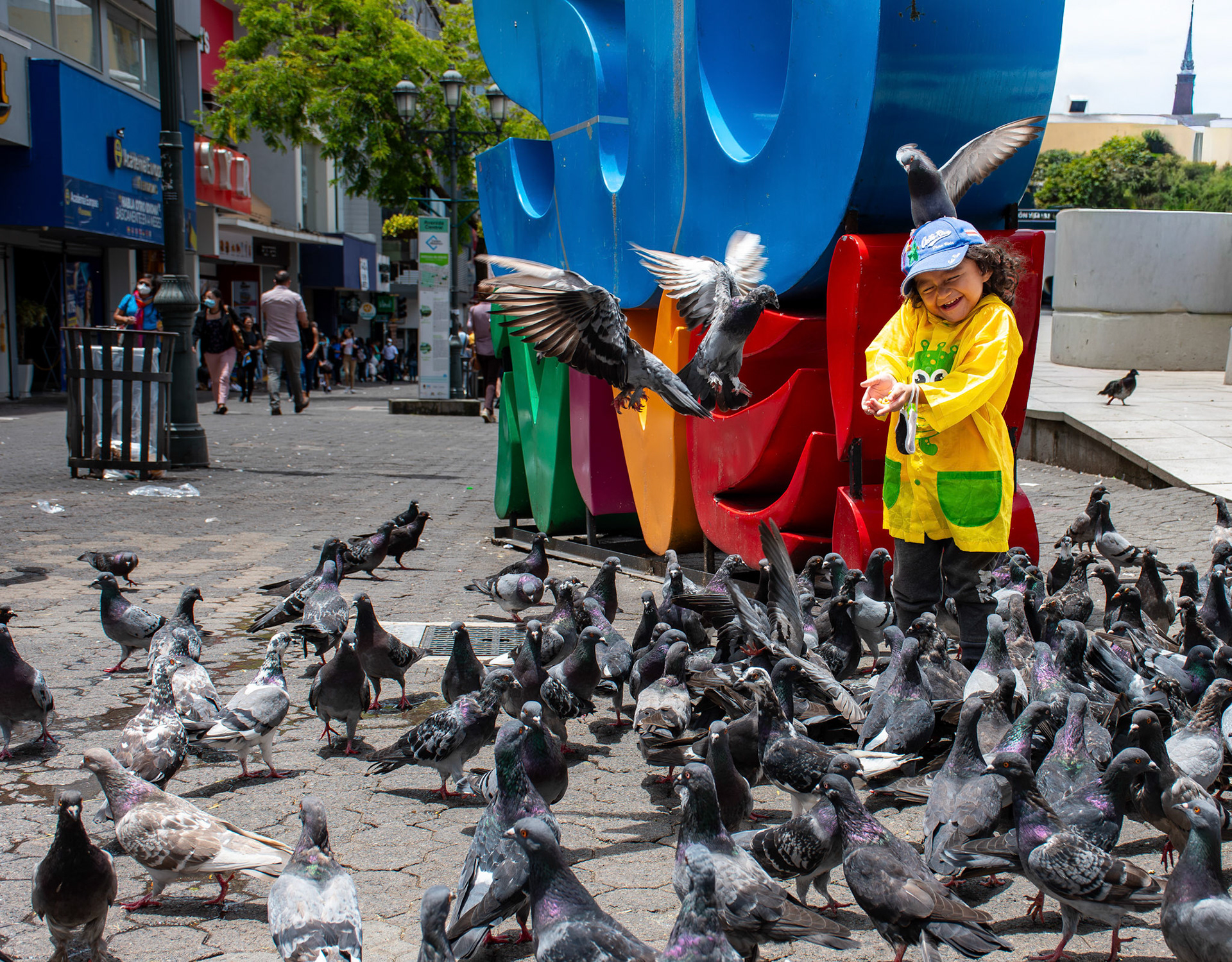 The pigeon girl • San José, Costa Rica