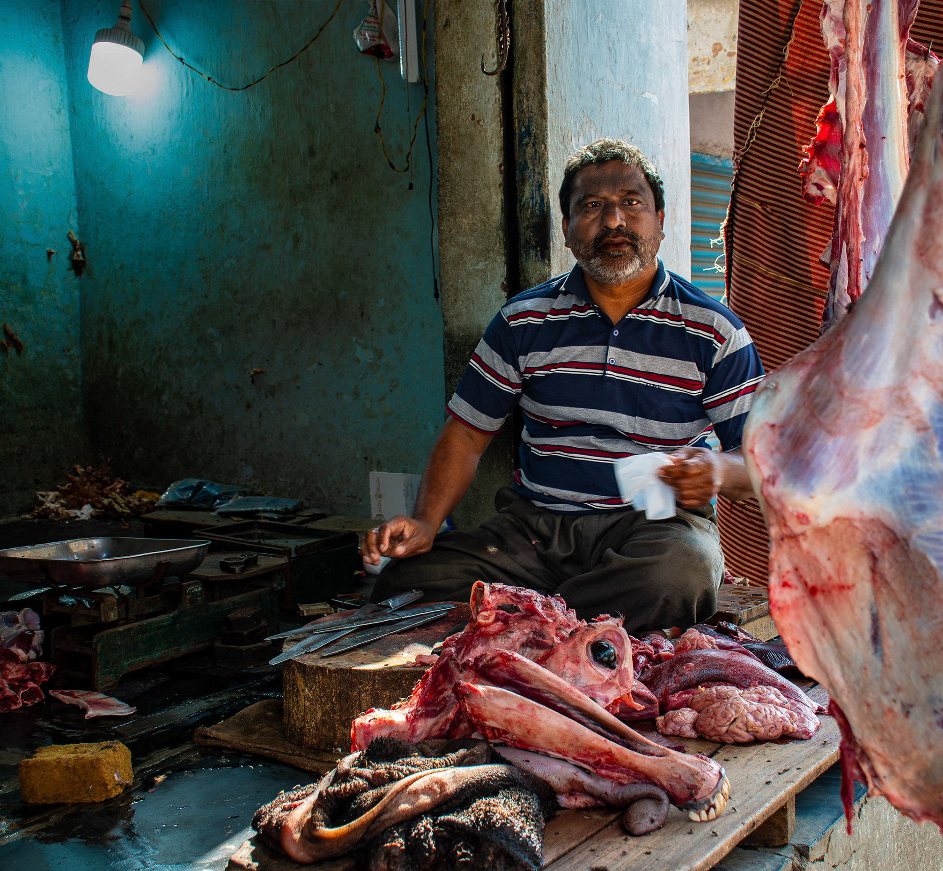 Man butchers horse • India