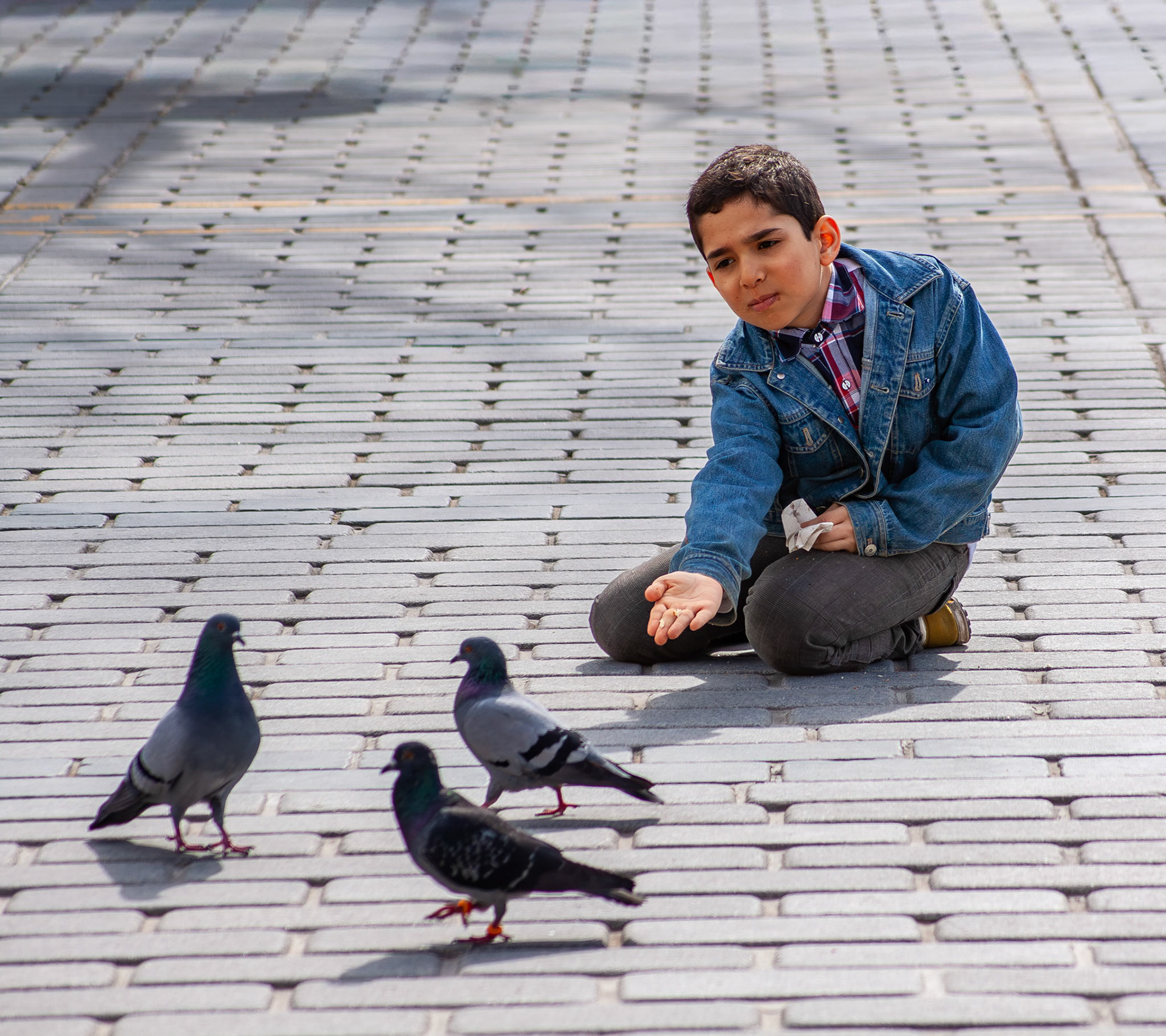 Boy and pigeons • Istanbul, Turkey