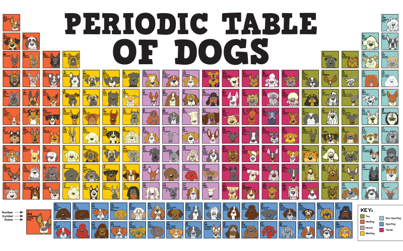 Periodic Table of Dogs
