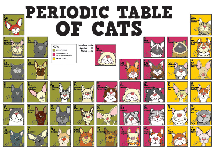 Periodic Table of  Cats