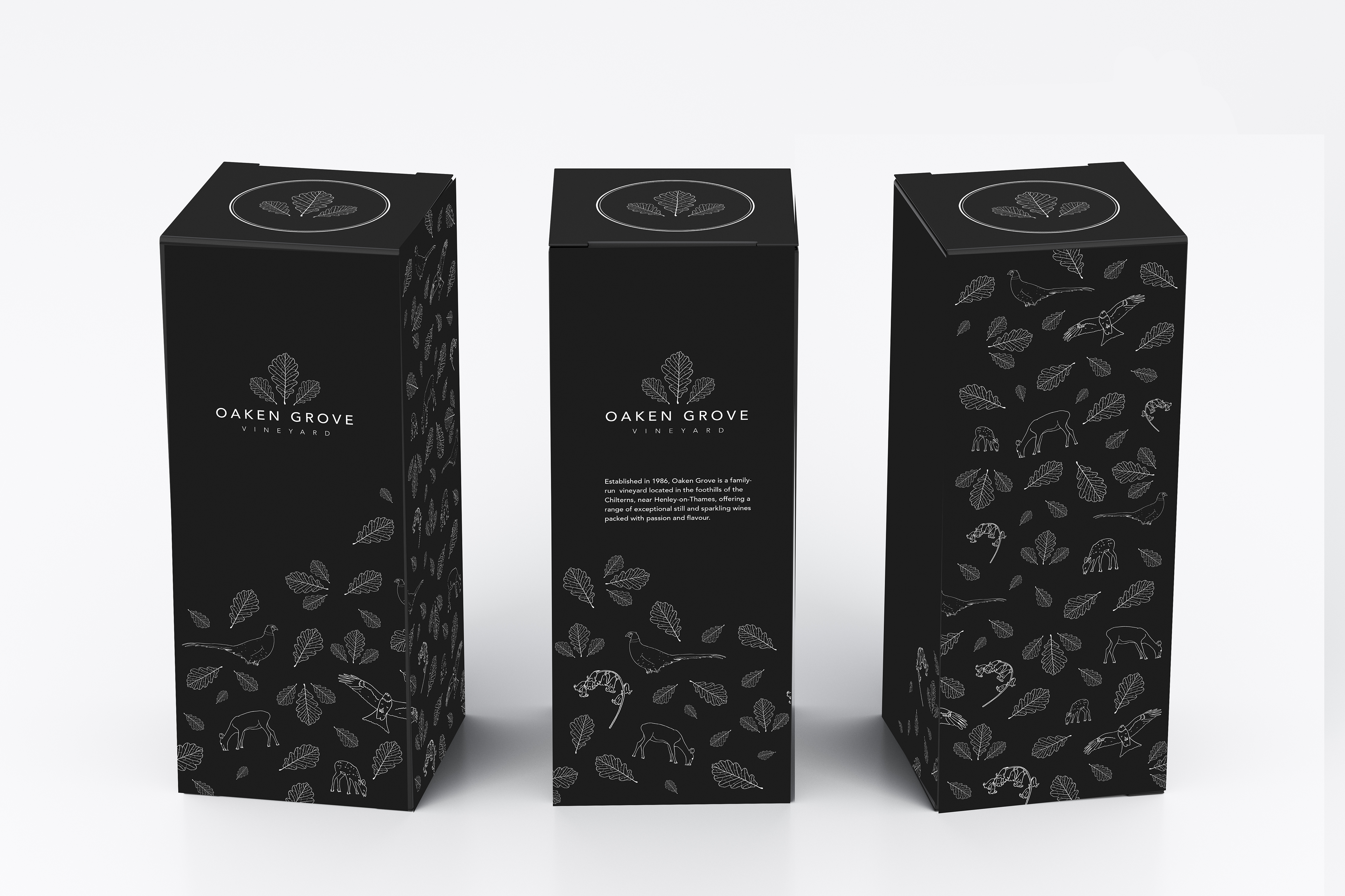 Gift box, logo creation and illustration