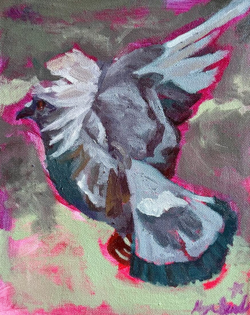 "Pretty Pigeon" Oil on Canvas