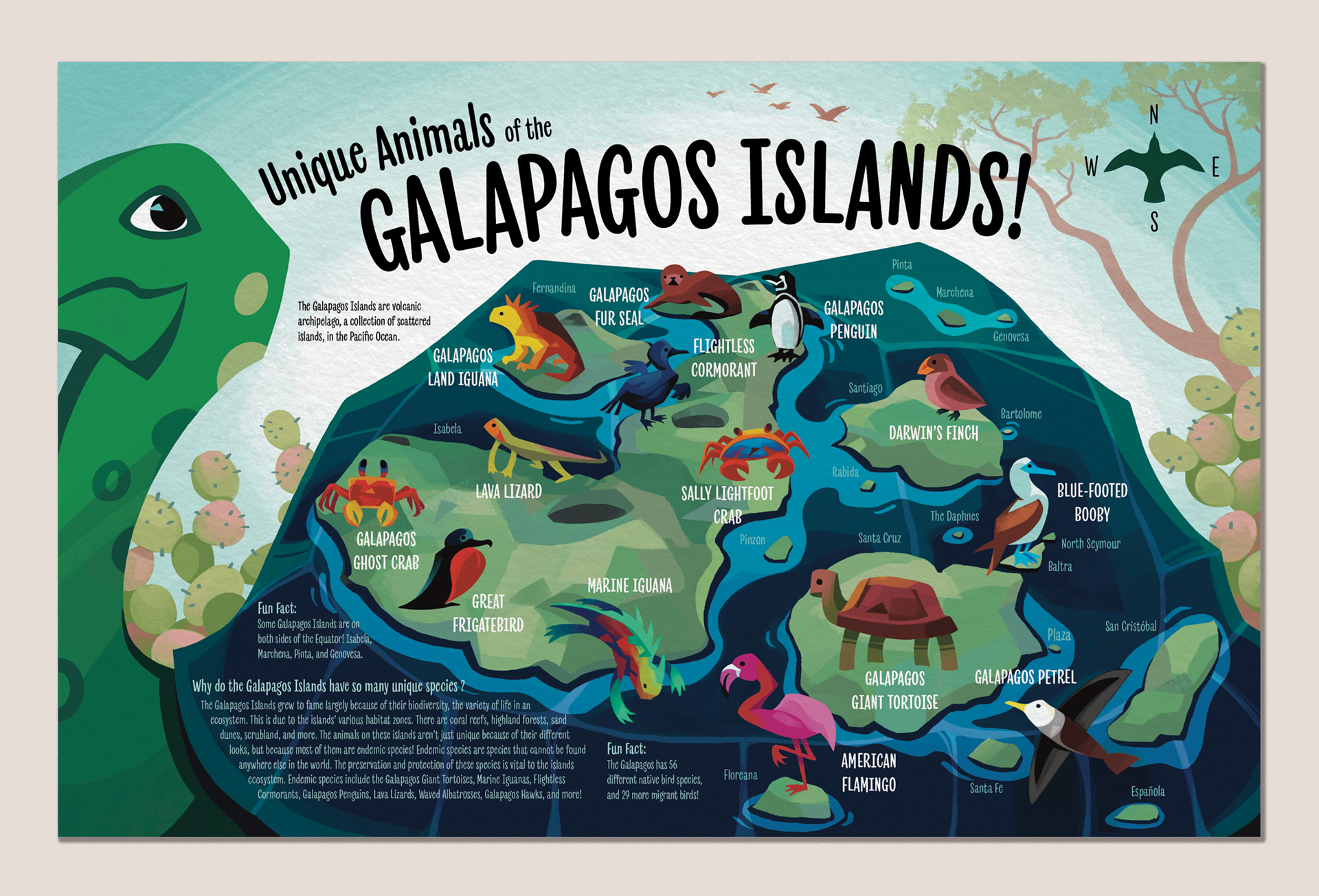 "Unique Animals of the Galapagos Islands!" Illustrated Map.