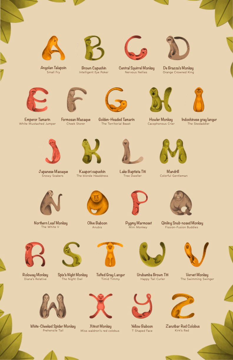 Monkey Alphabet