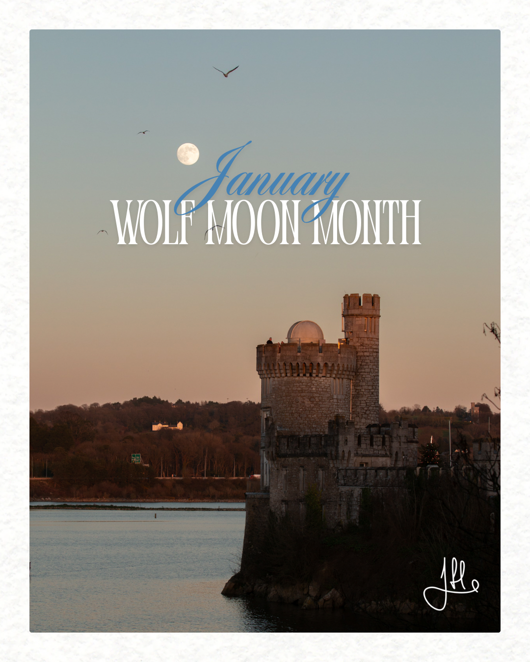 Wolf Full Moon, 2nd December