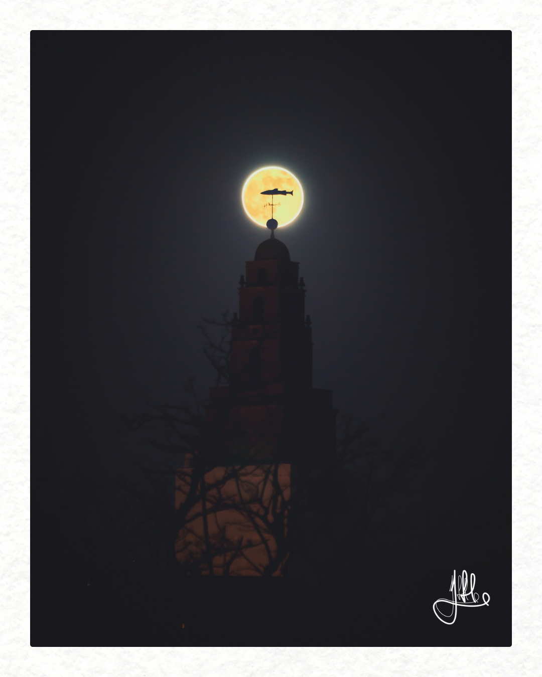 Shandon Bell Tower, 3rd December