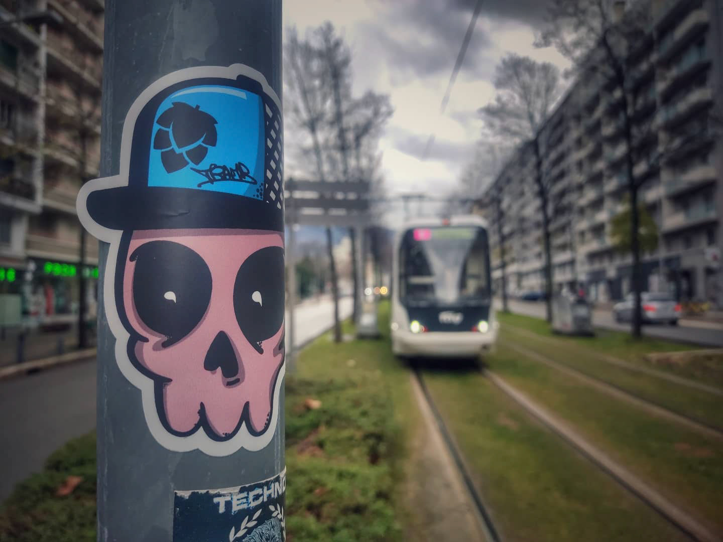 Sticker Skull 2