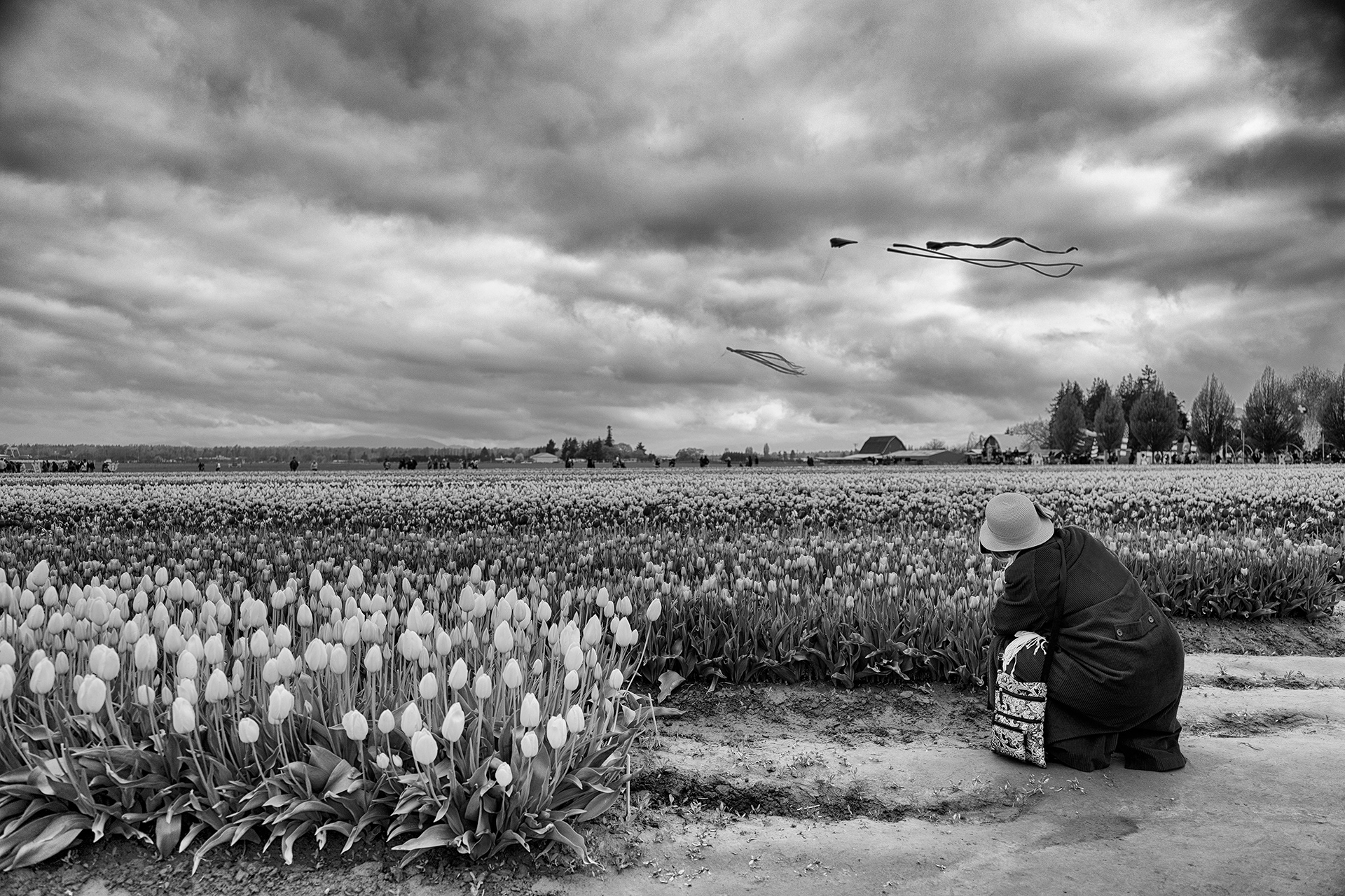 Skagit, WA. 2019
