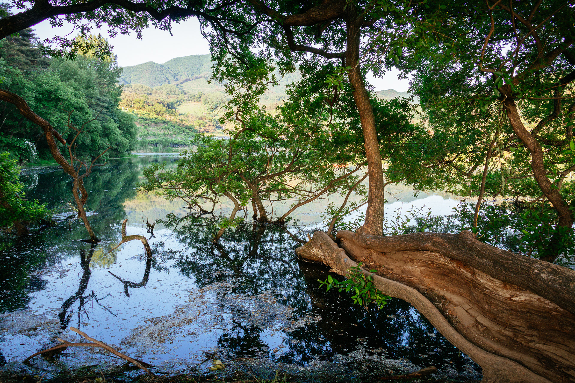 Bangokji, Gyeongju