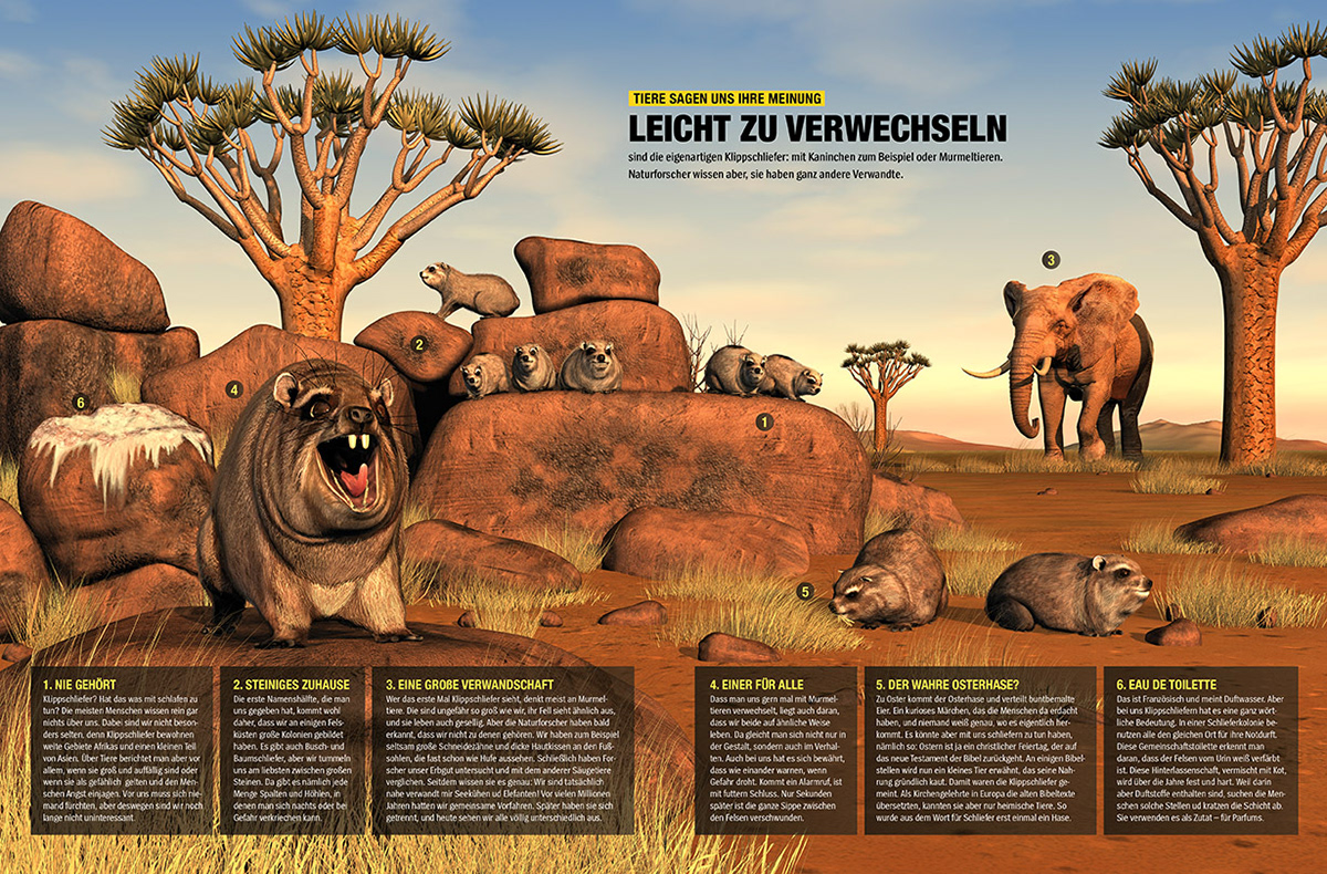 KLippschliefer - Dein Spiegel 2012