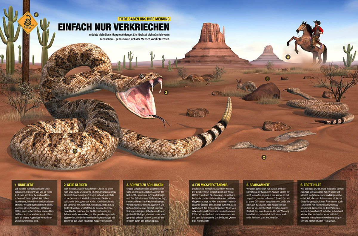 KLapperschlange - Dein Spiegel 2012