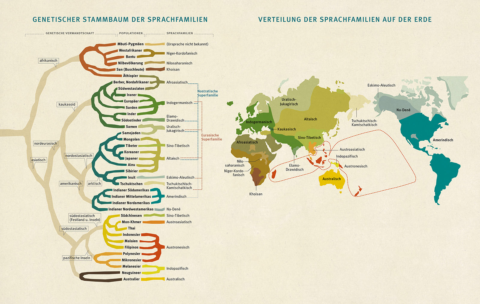 Genetischer Stammbaum der Sprachen - GEO Wissen Nr.40 | 2007