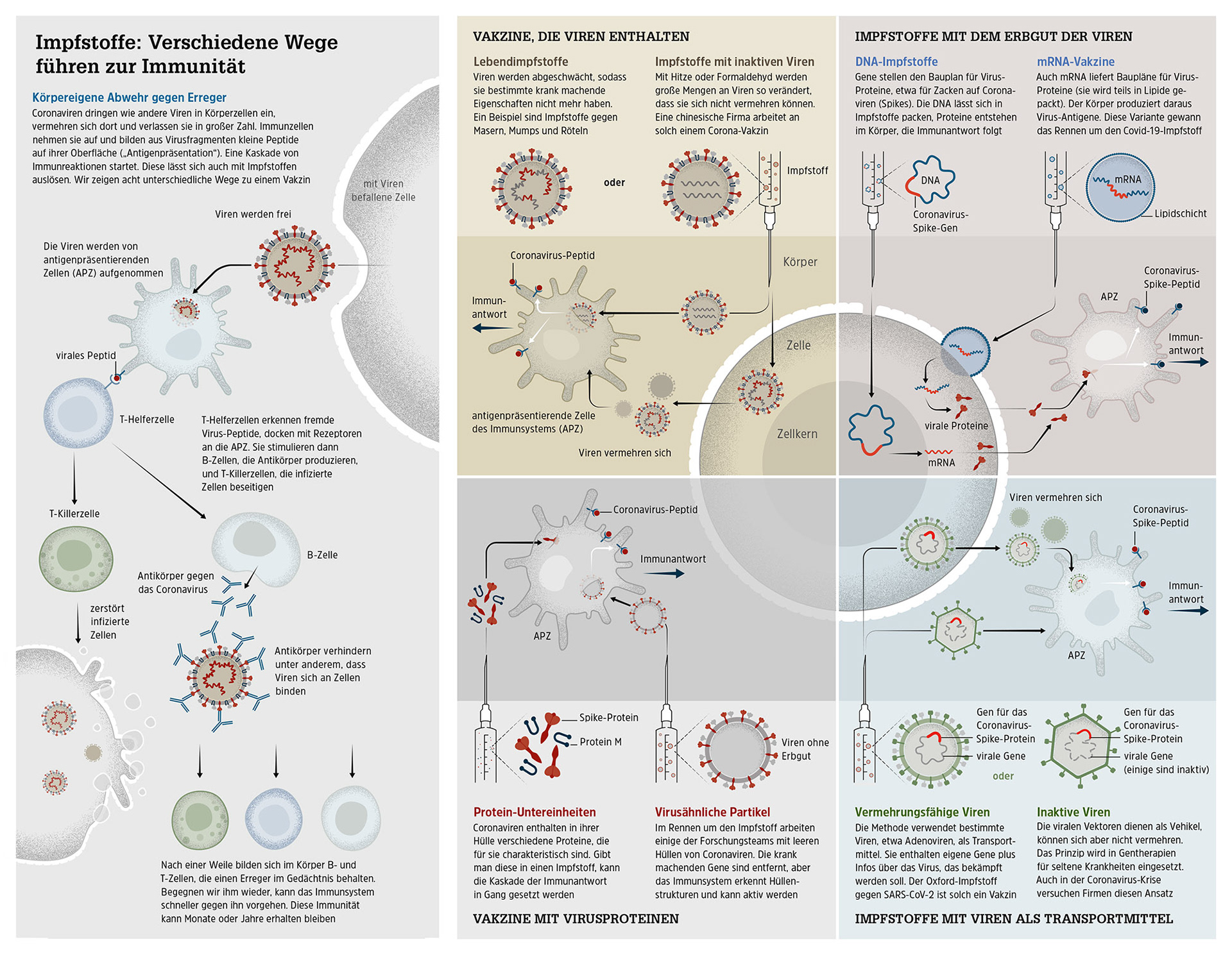 Wege zur Corona-Immunität – GEO 02 | 2021