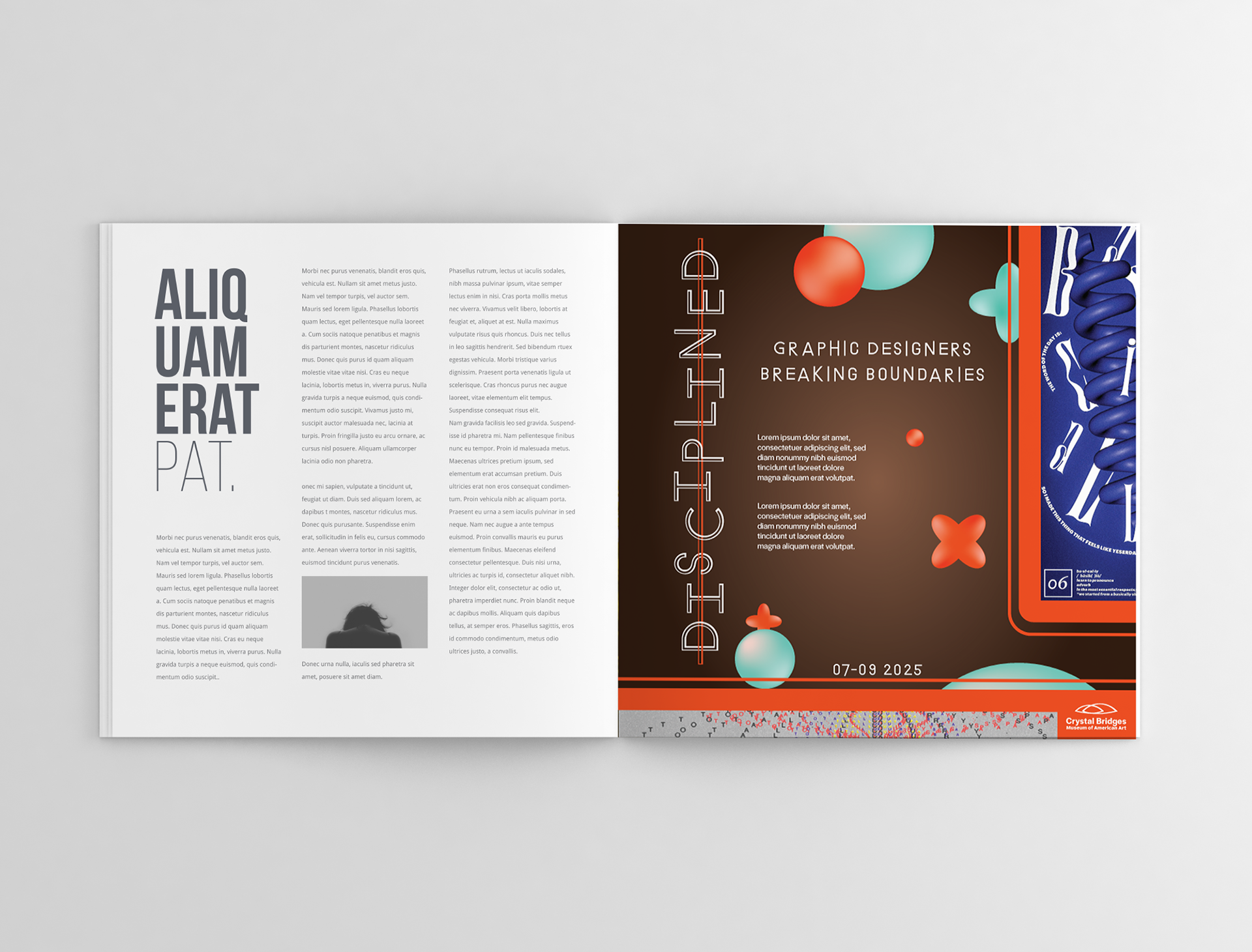 Magazine insert concept view 1