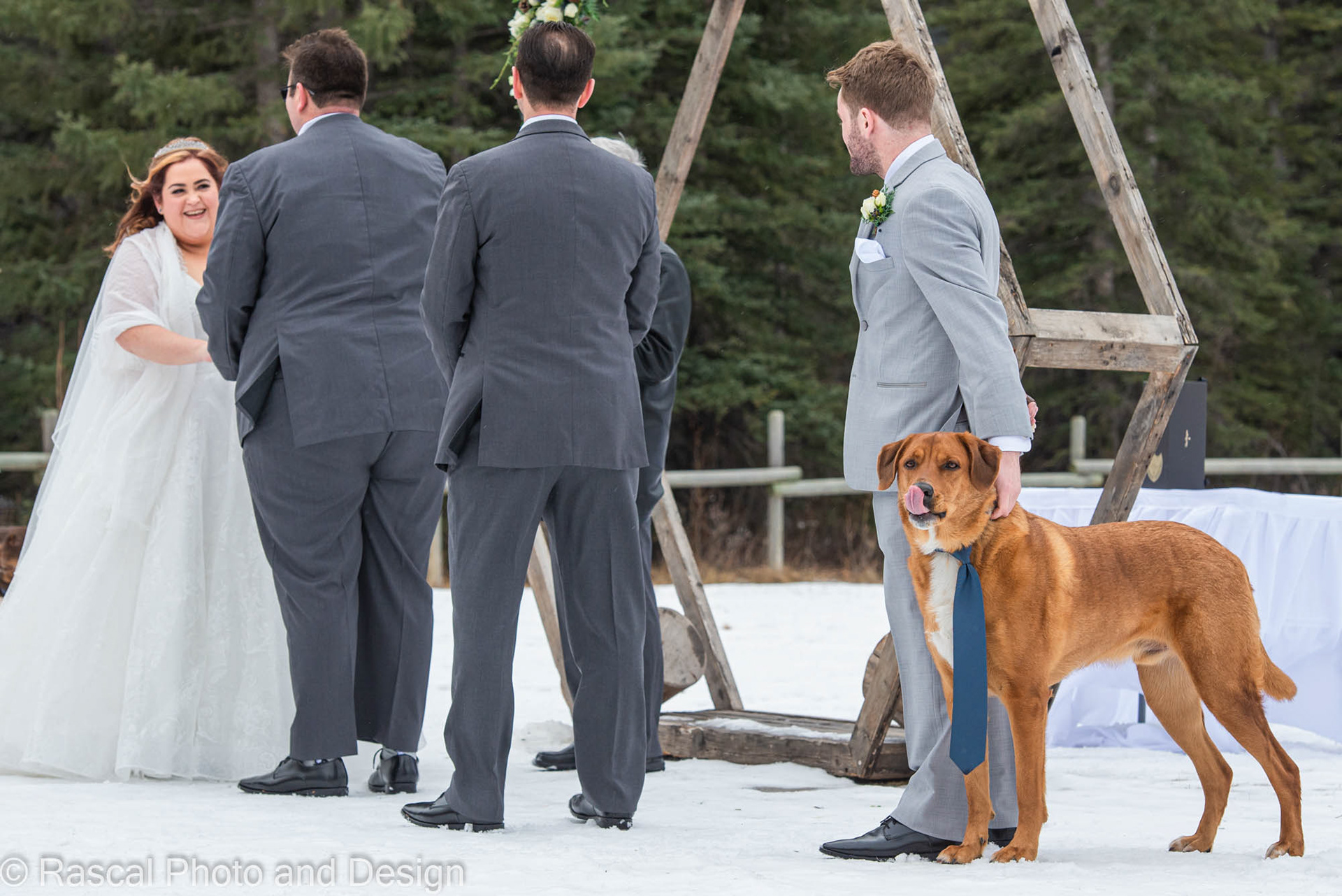 Wedding ceremony at Canmore Ranch with Cornerstone Weddings in Canmore Alberta