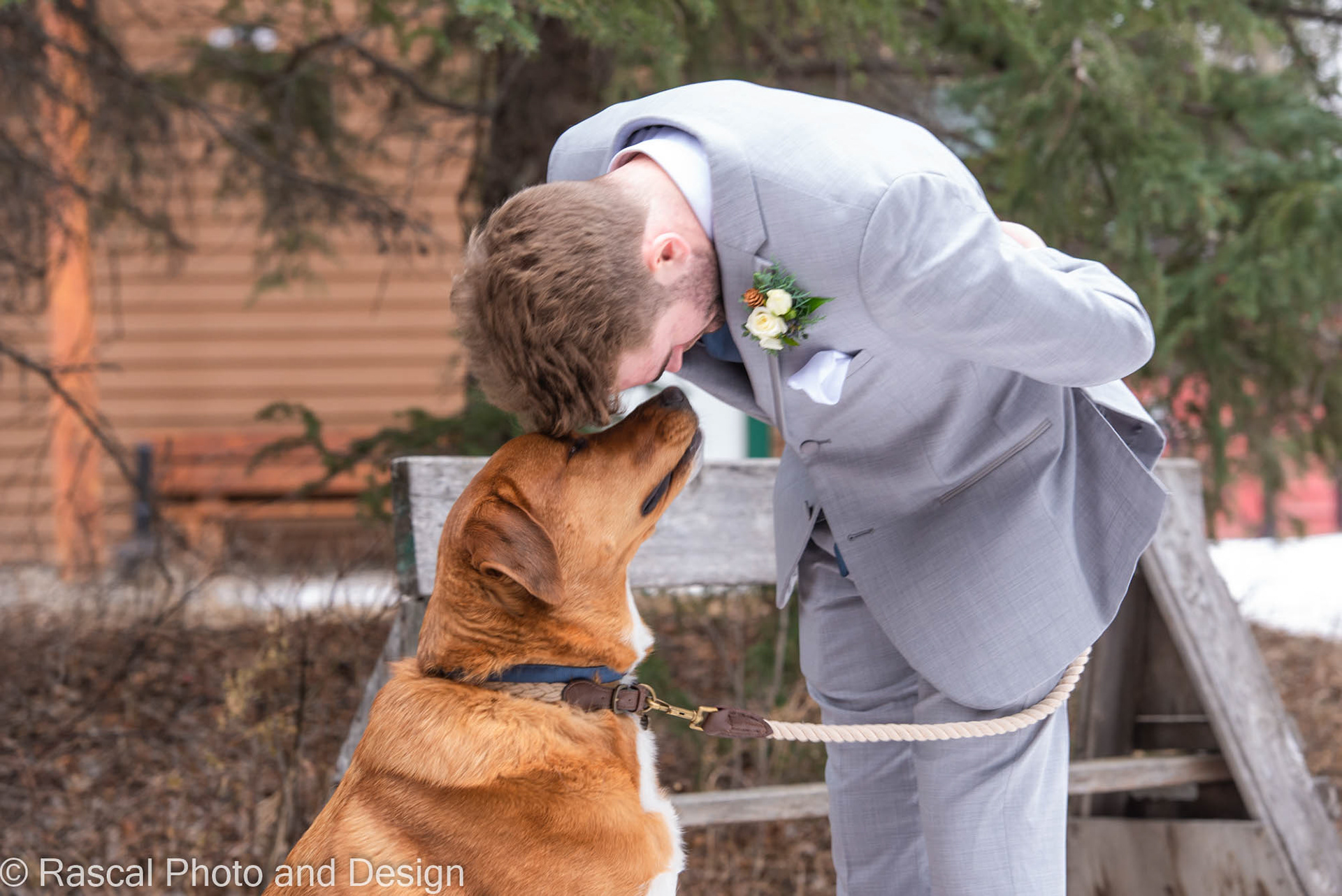 dog at wedding ceremony at Canmore Ranch