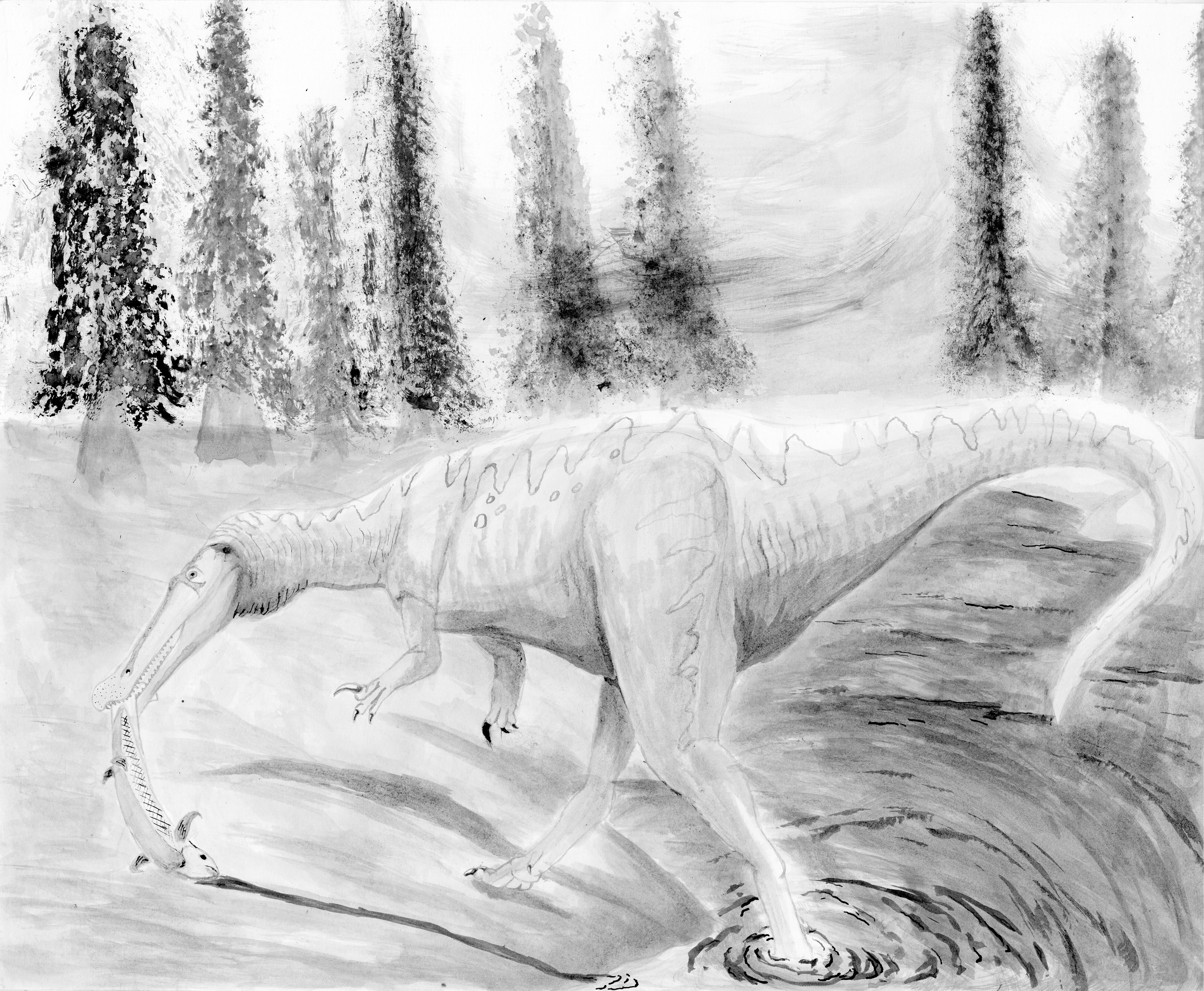 Indian Ink - Suchomimus Fishing