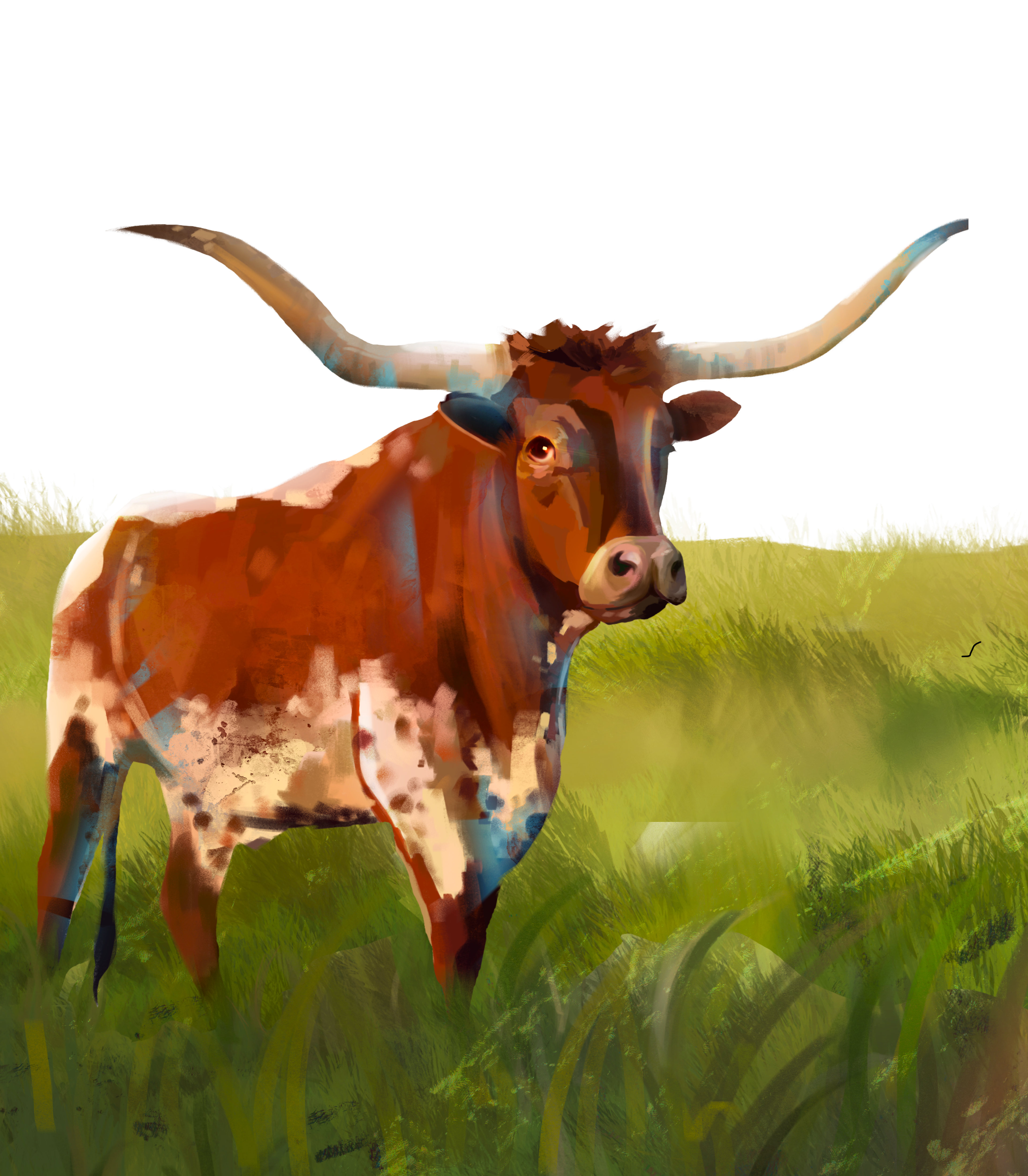 Longhorn