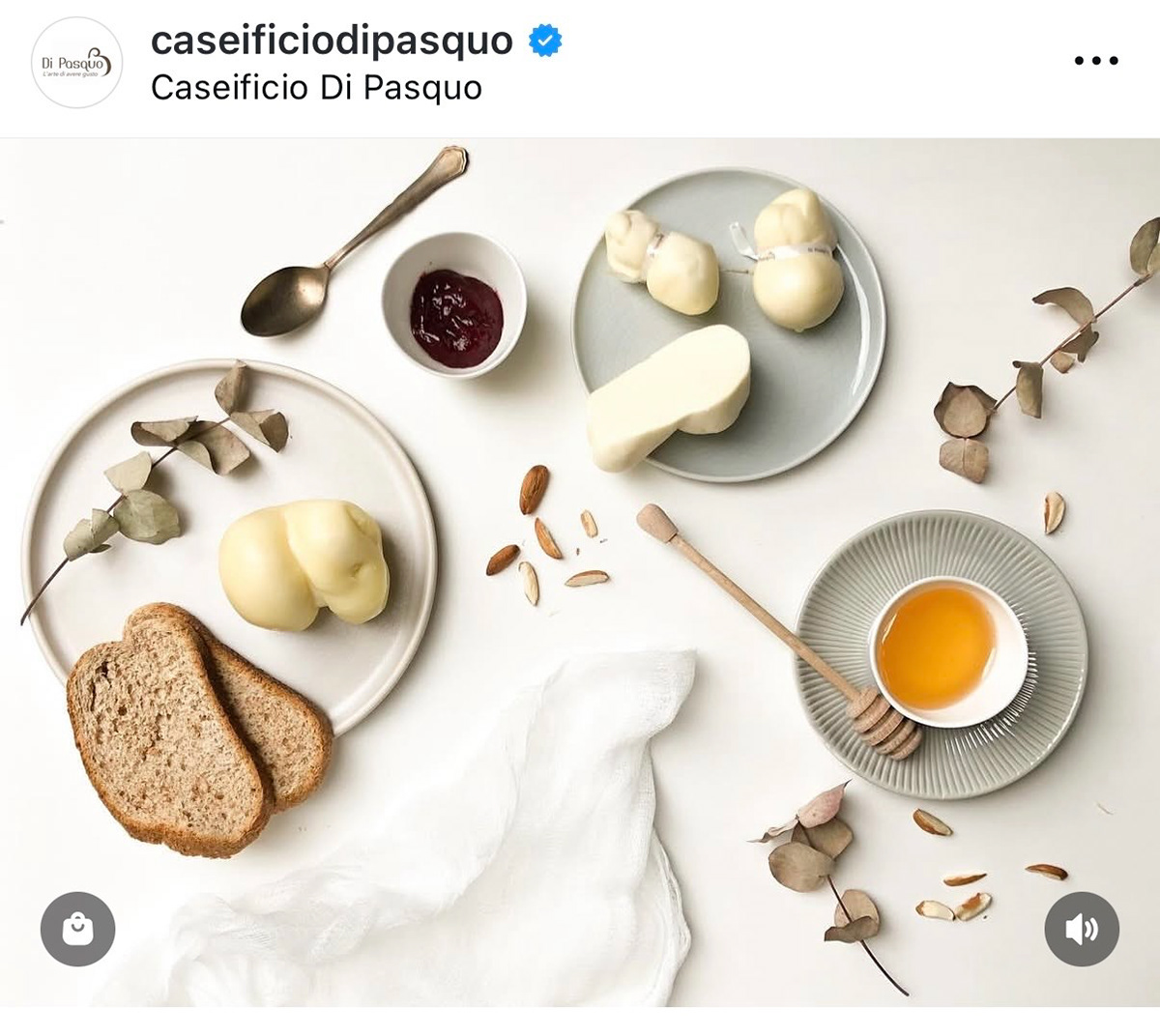 photo credit Camilla Giacinti