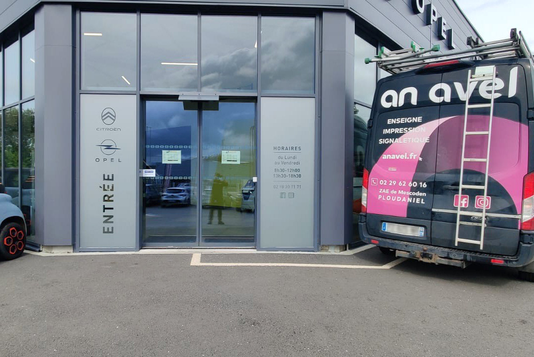 Vitrophanies en adhésif dépoli découpé