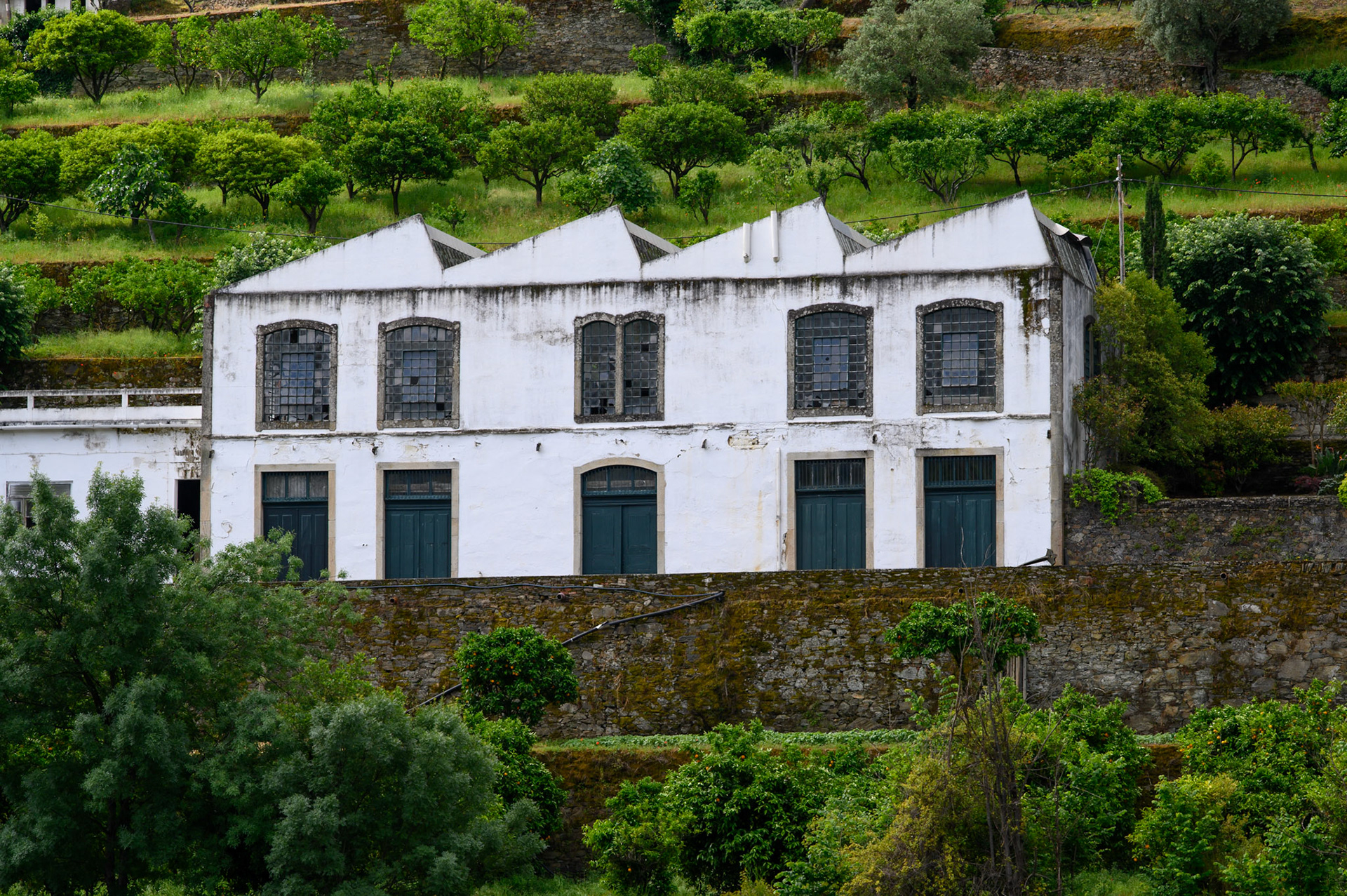 Douro Valley