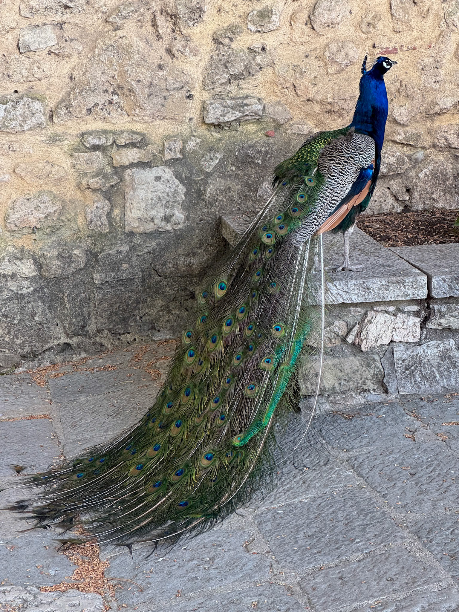 Lisboa