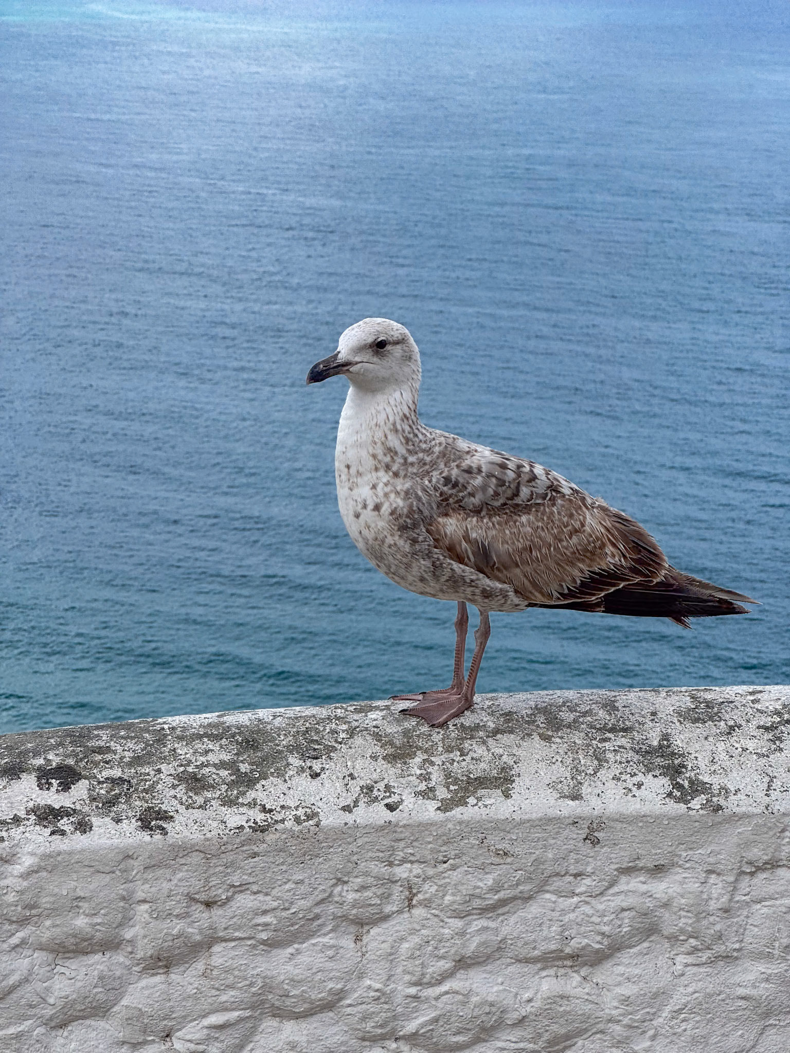 Nazaré