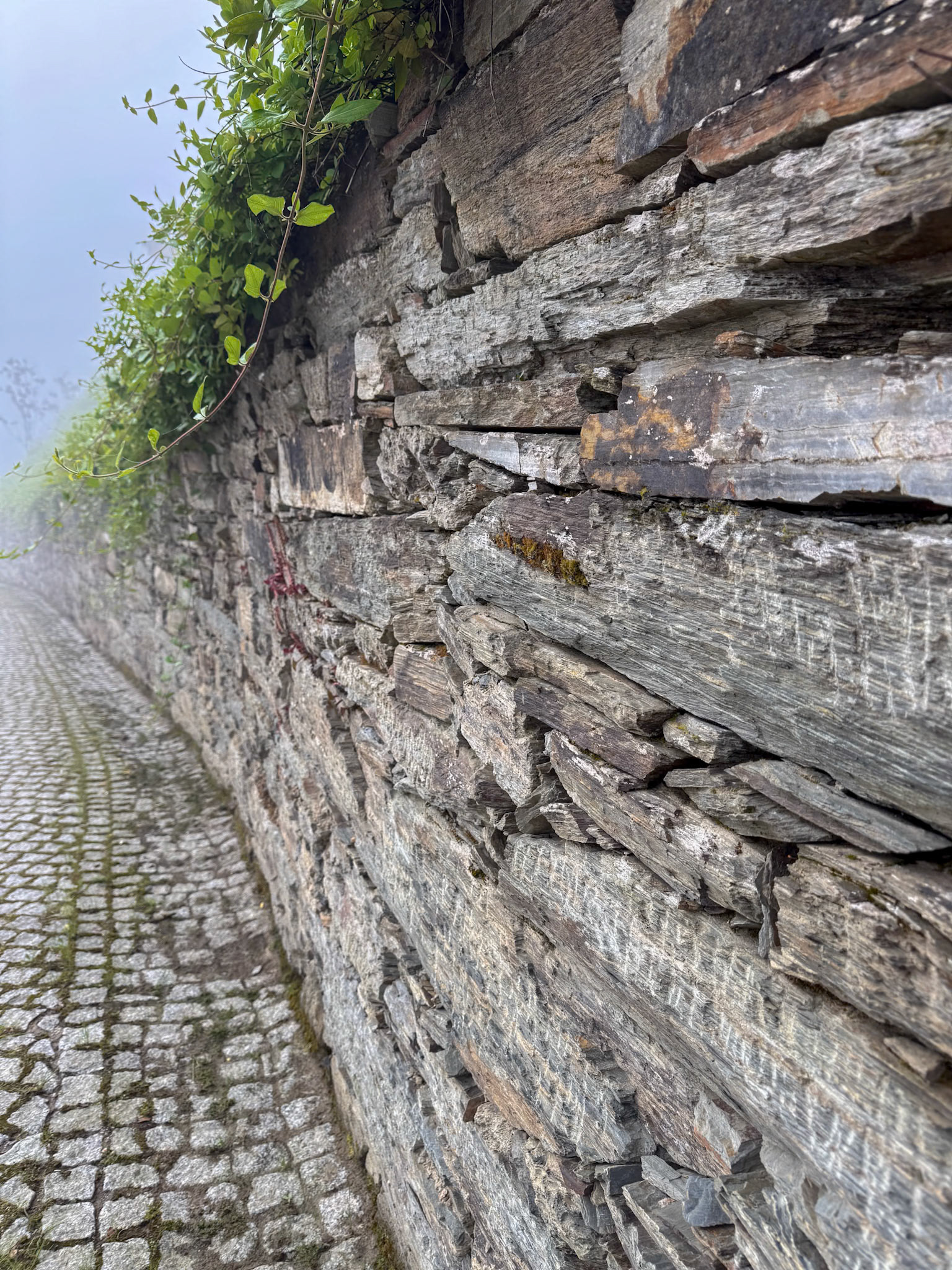 Douro Valley