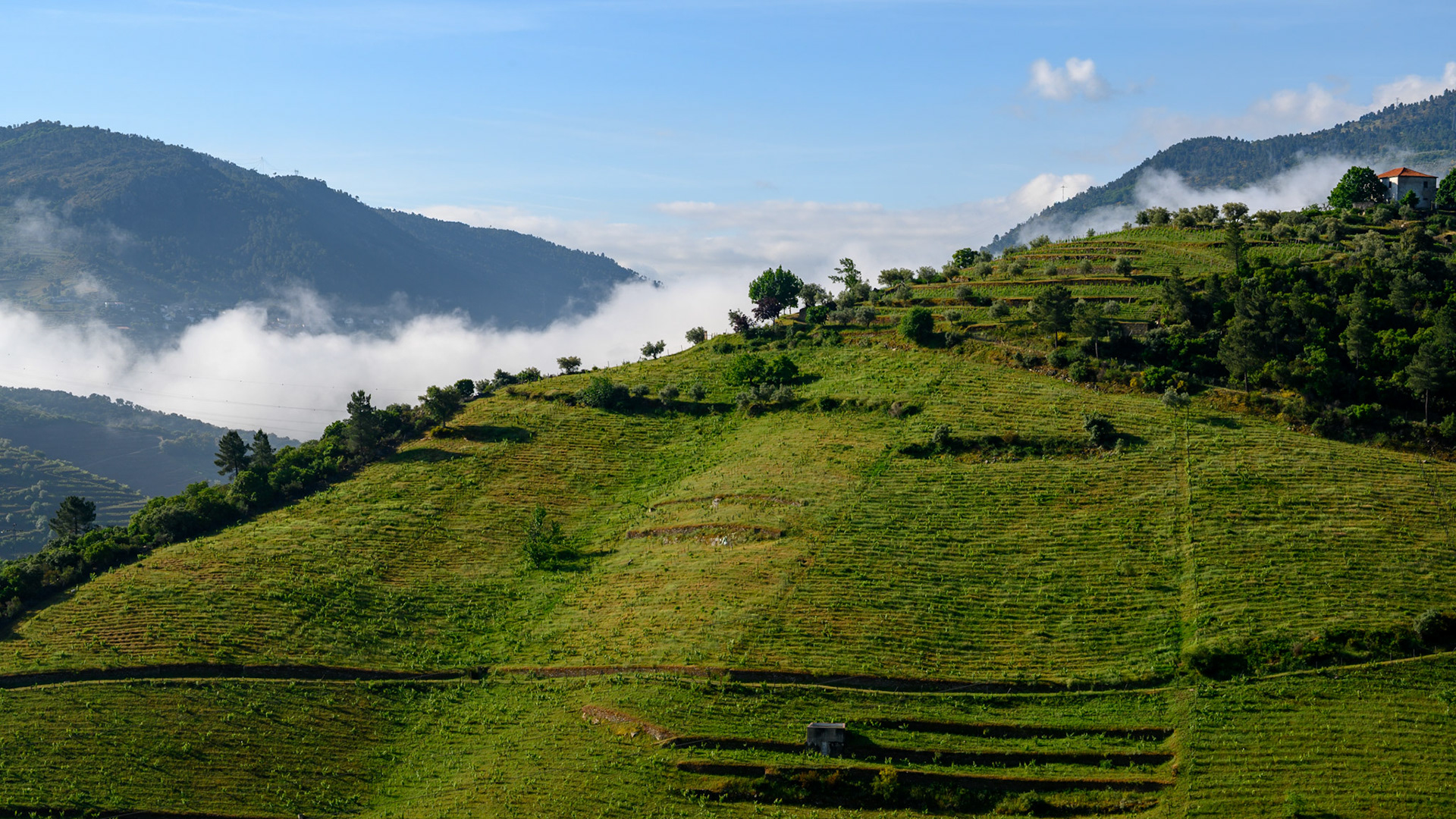 Douro Valley