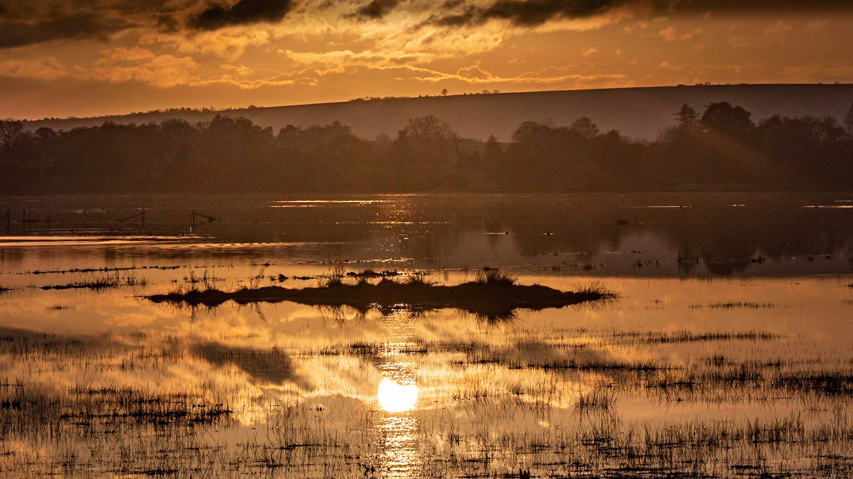 On Golden Pond, Pulborough