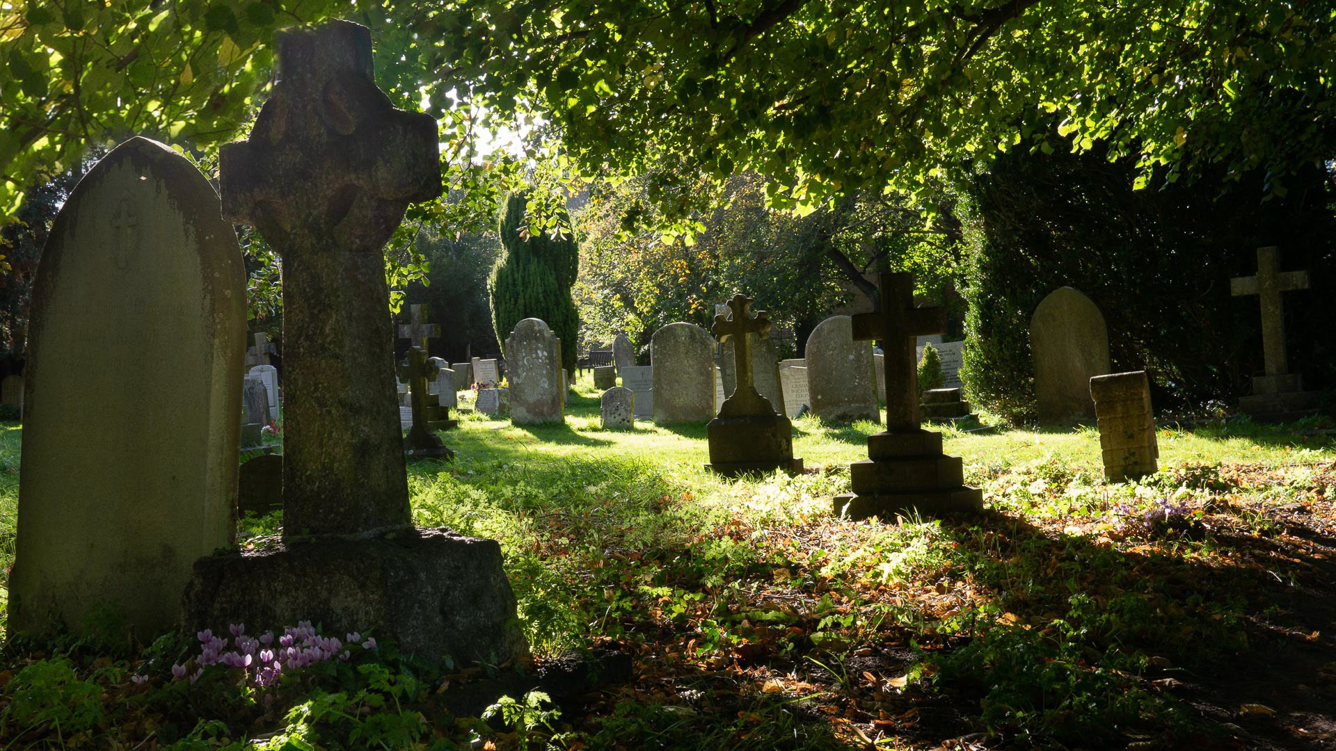 20221010 Evening Light in the Churchyard