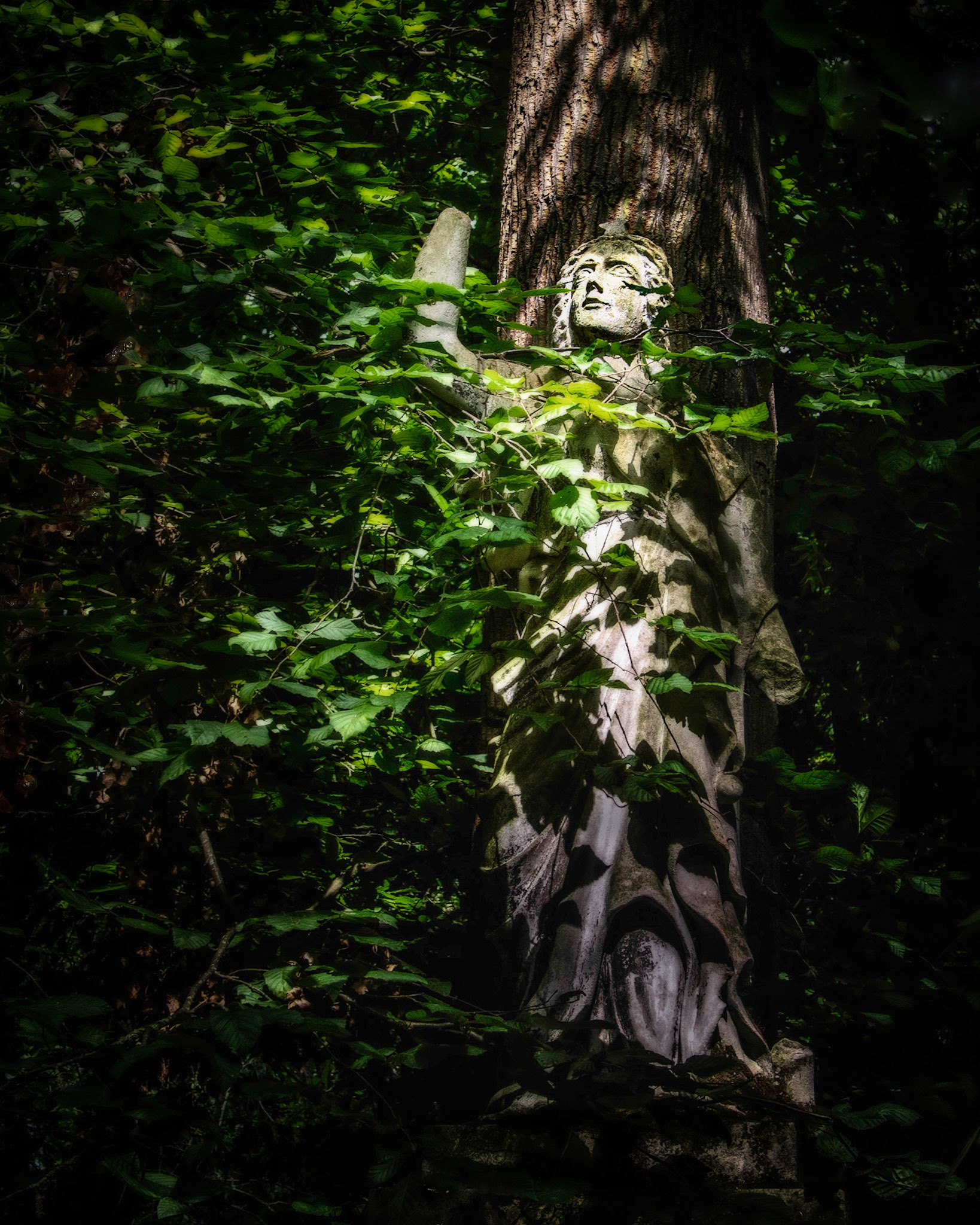 Strangled By Nature, Nunhead