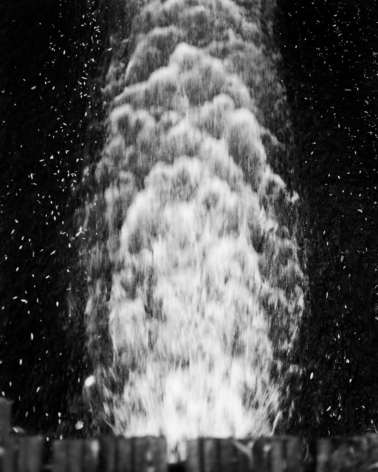 20220520 The Mill Race