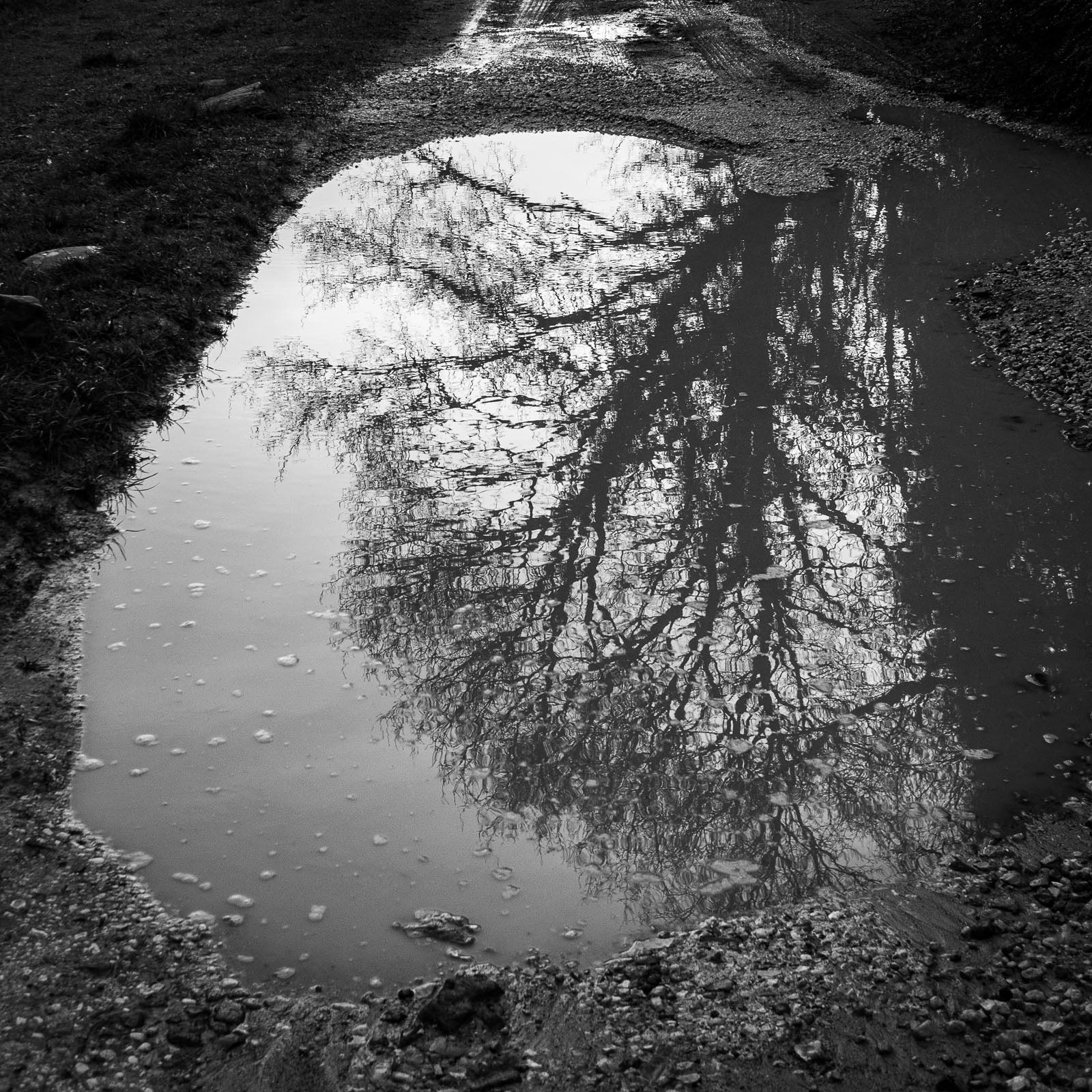 20220313 - After the Rain